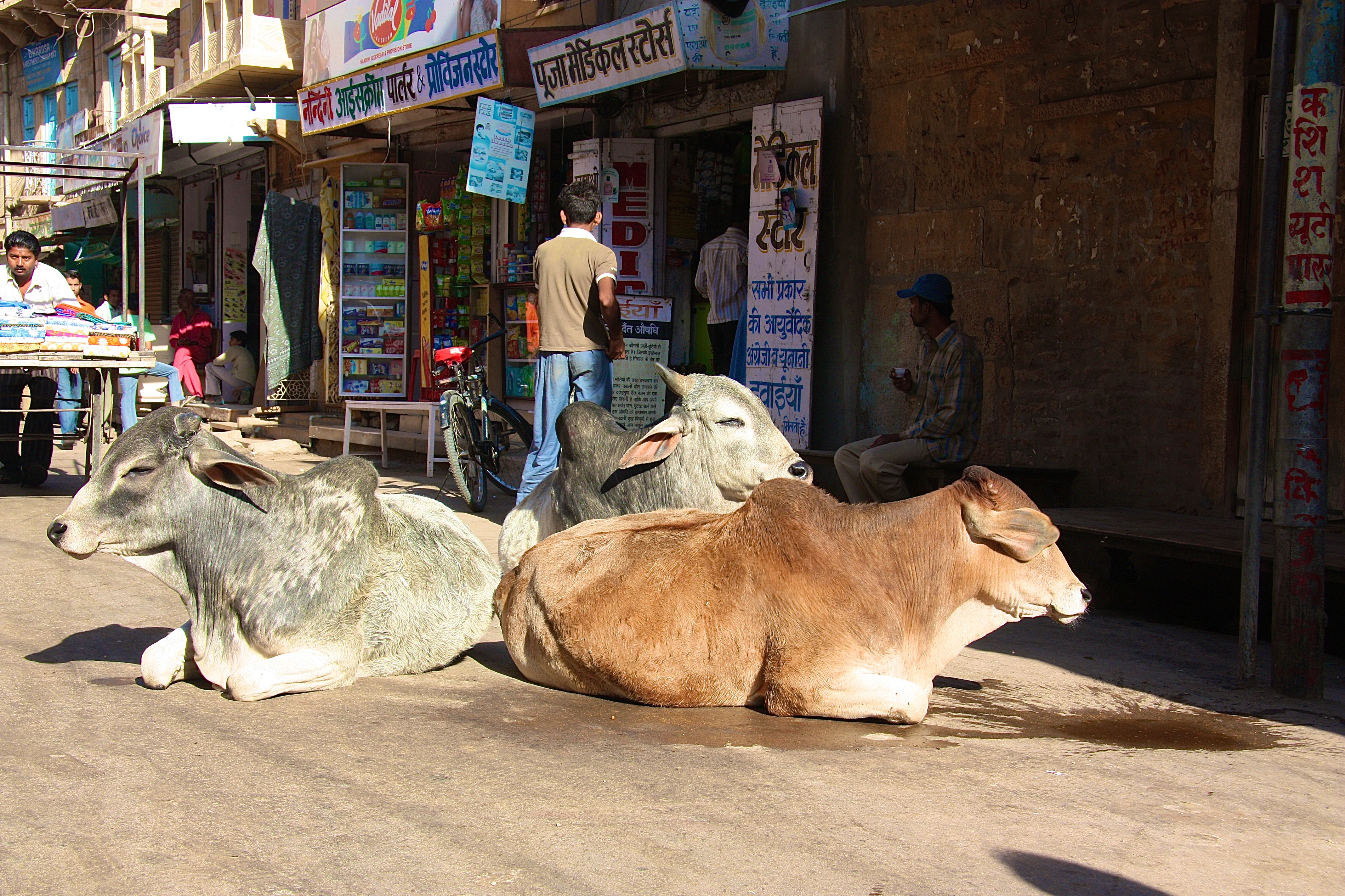 JAISALMER
