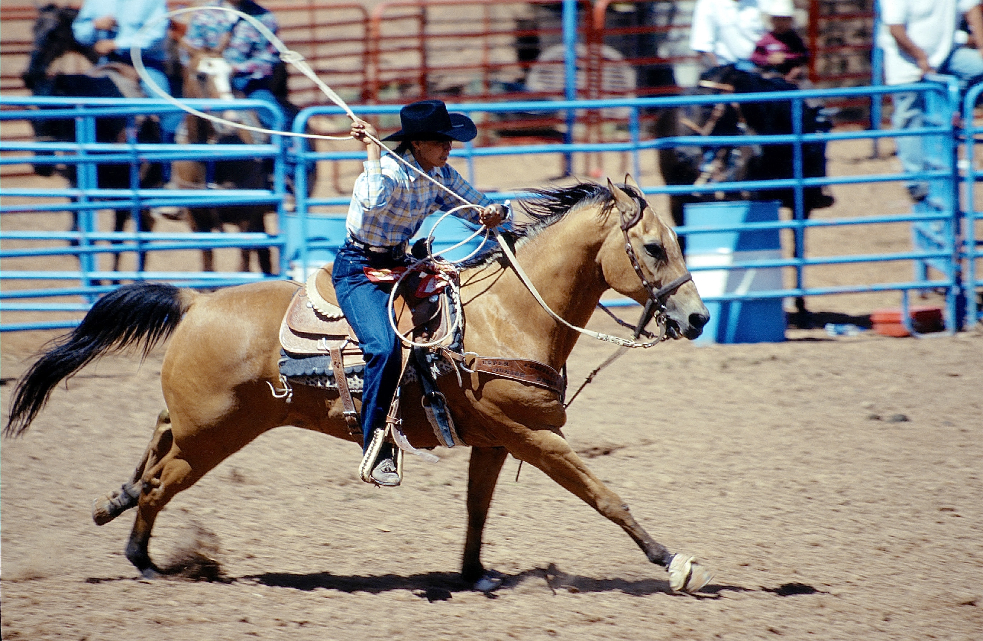 GALLUP