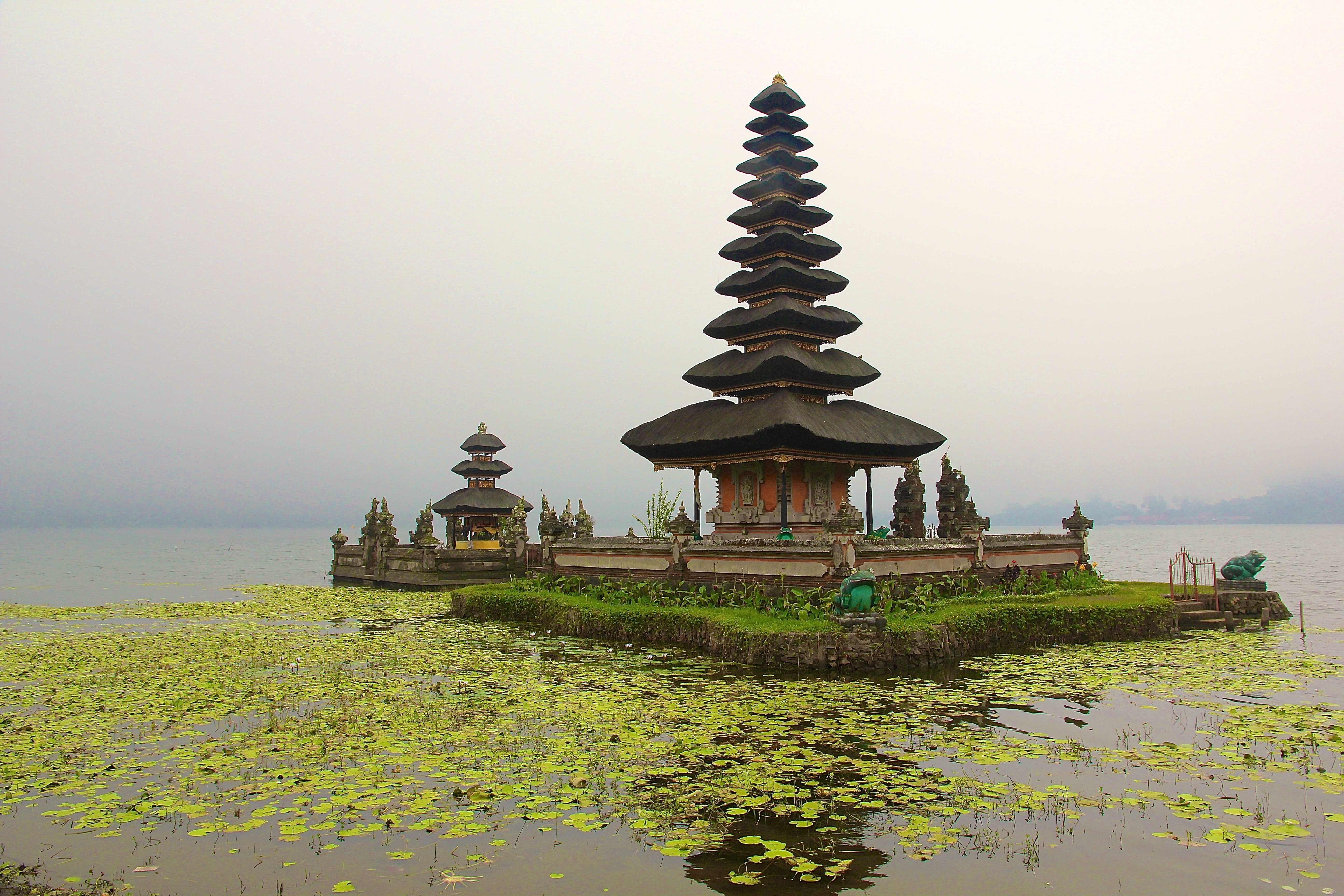 BEDUGUL