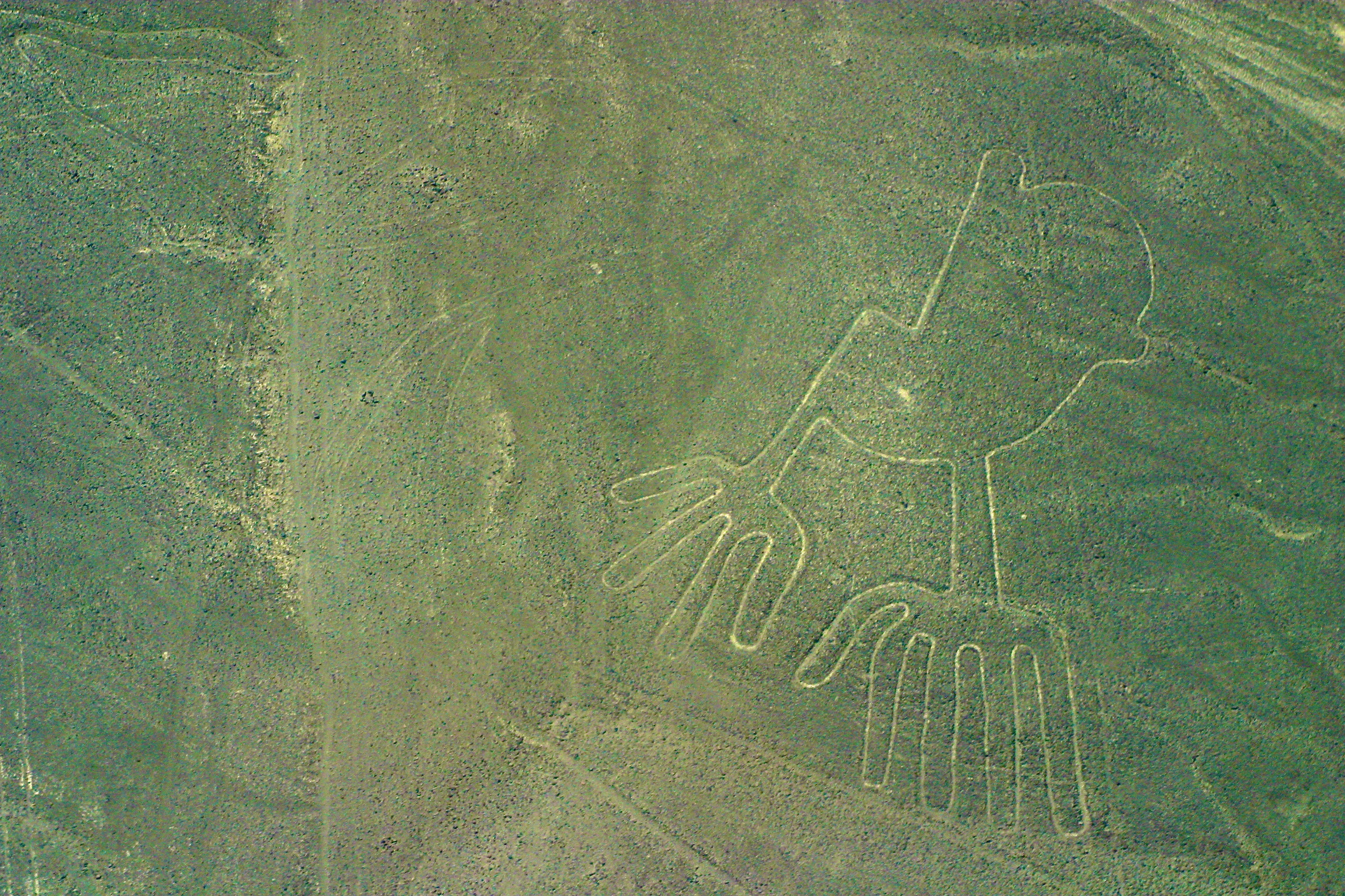 NAZCA