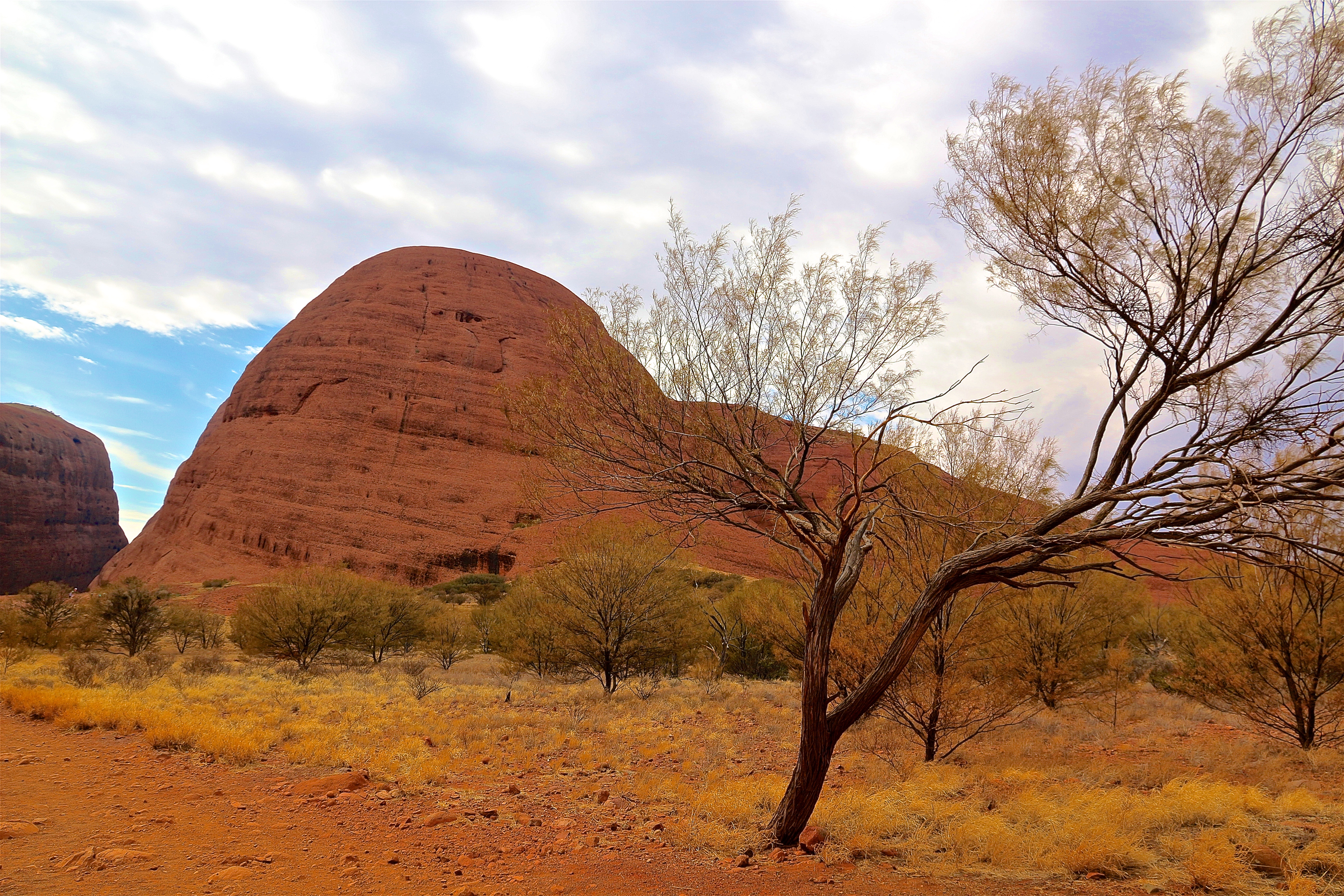 KATA TJUTA (MONTS OLGA)