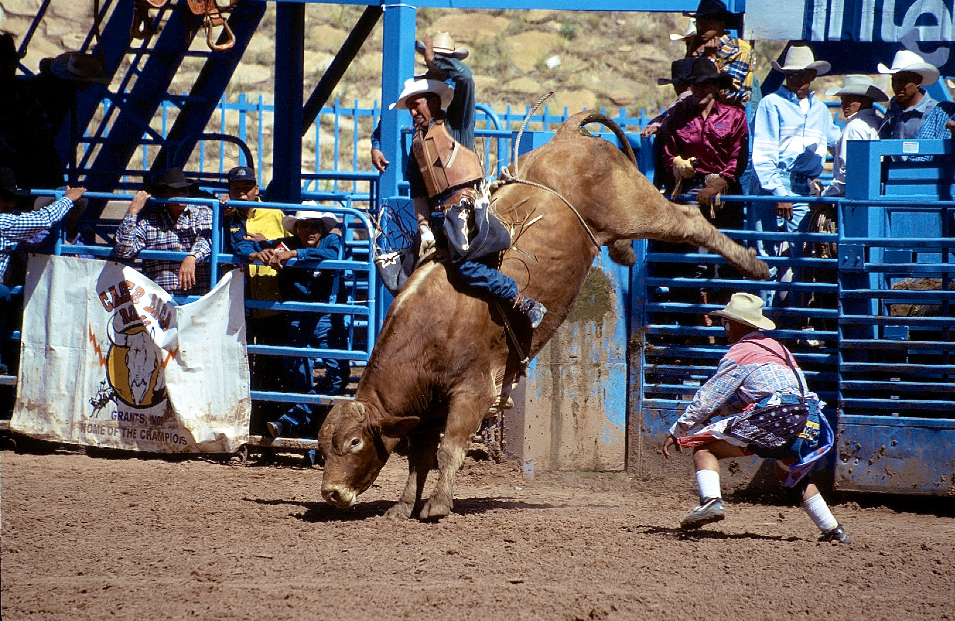 GALLUP