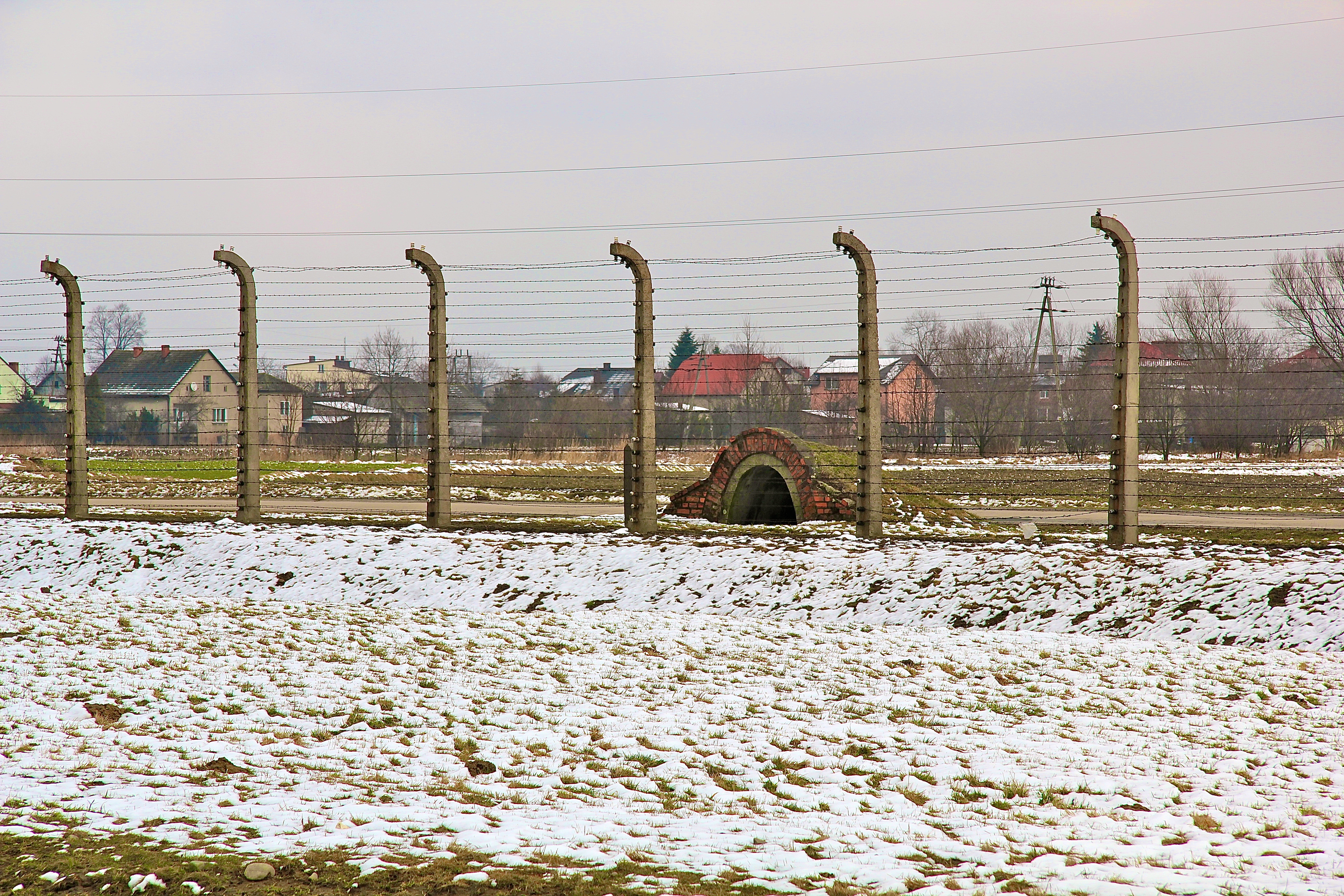 Birkenau