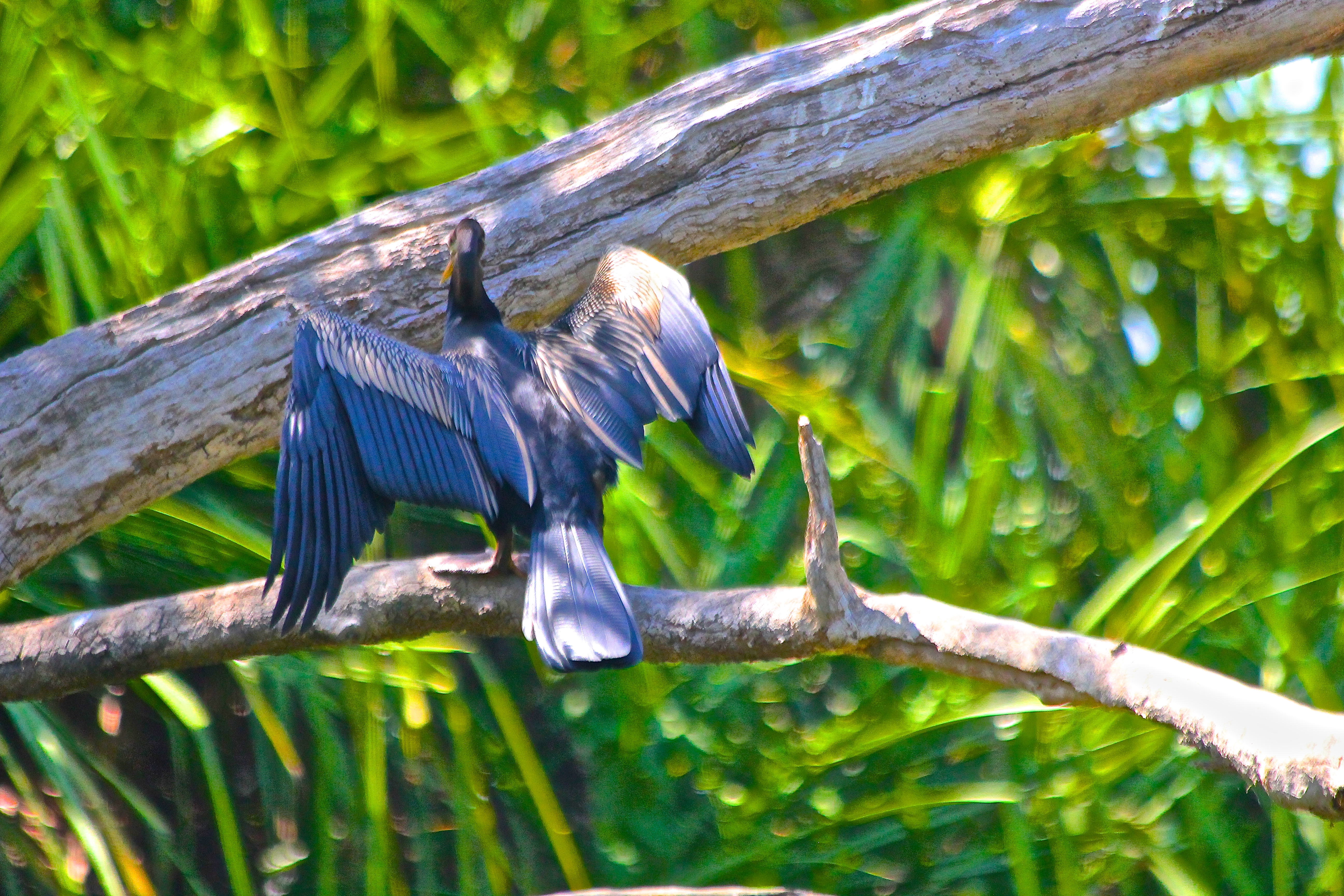 KAKADU NATIONAL PARK