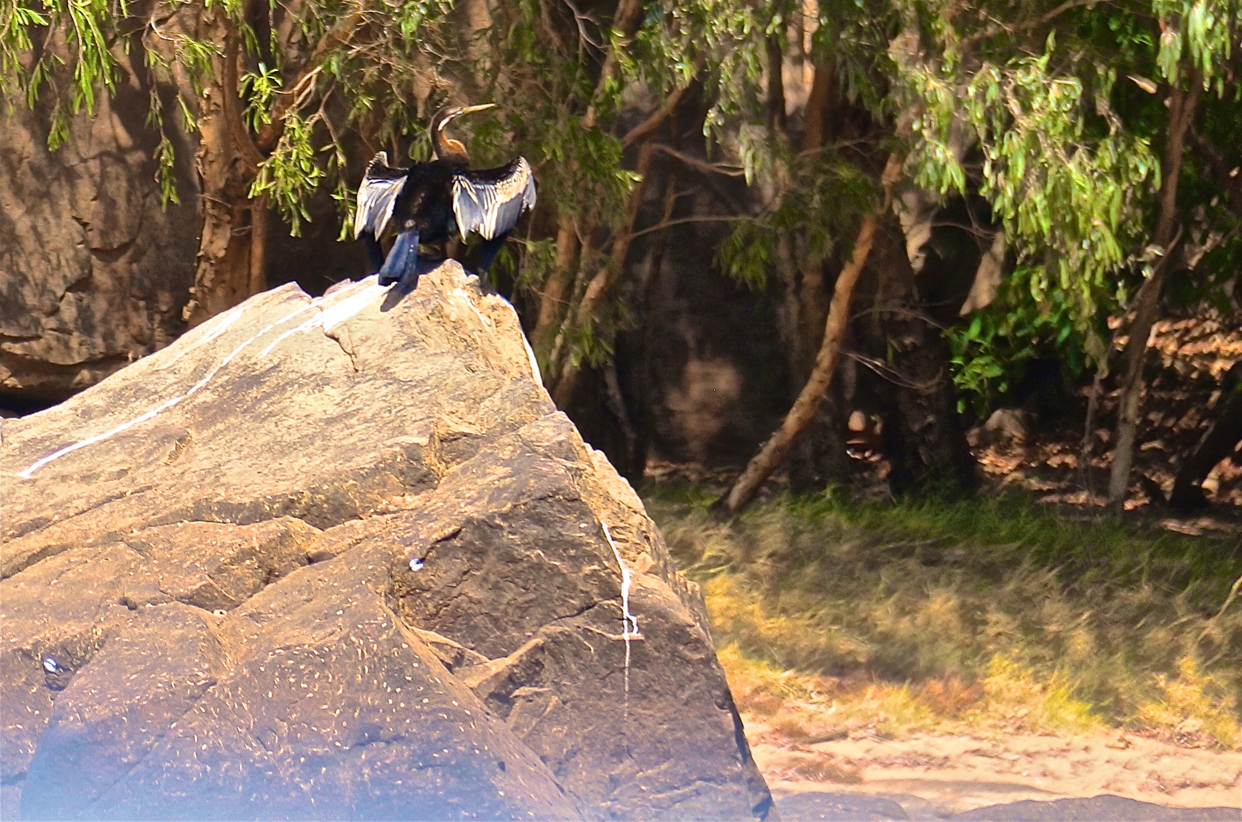 KATHERINE RIVER ET GORGES