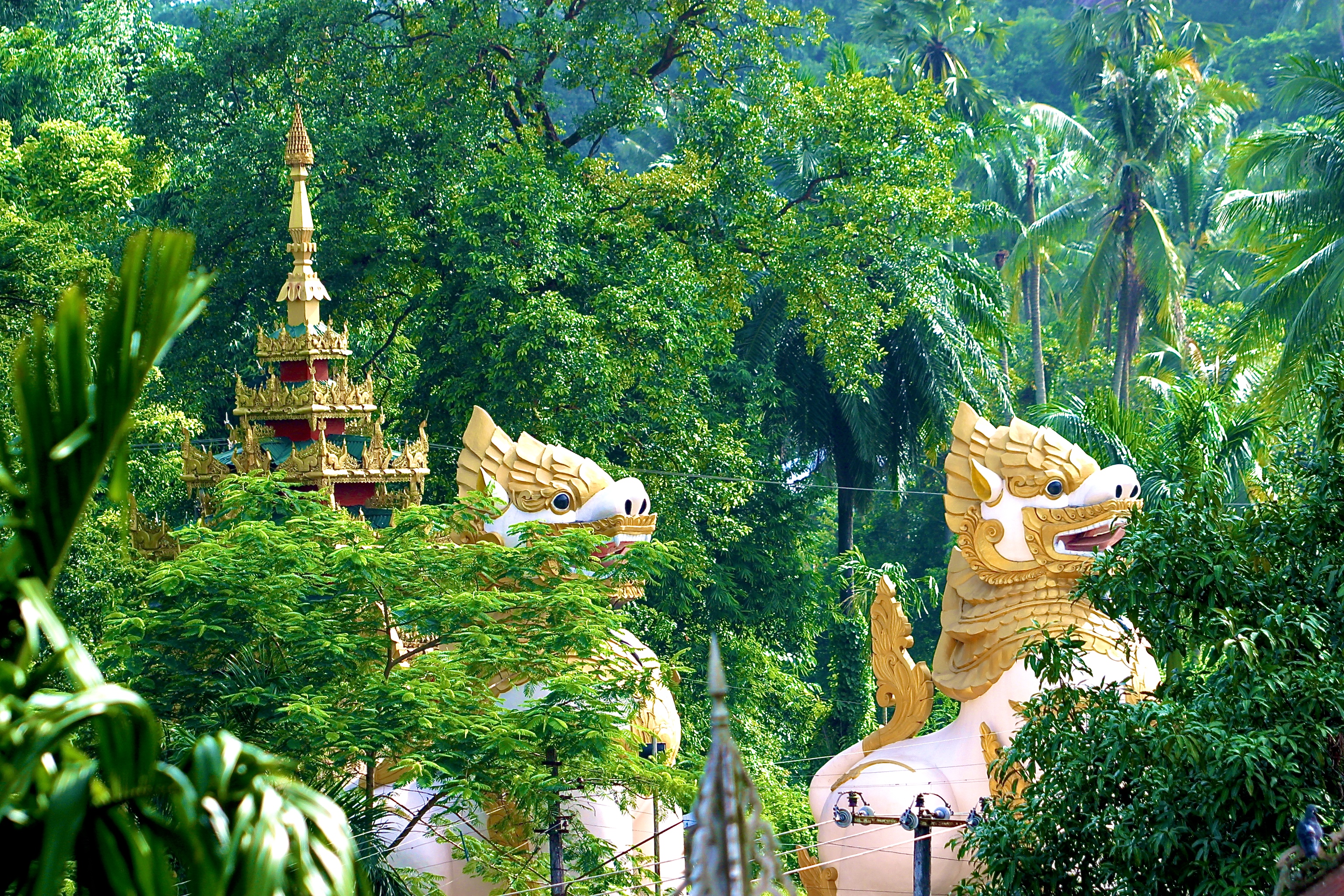 YANGON