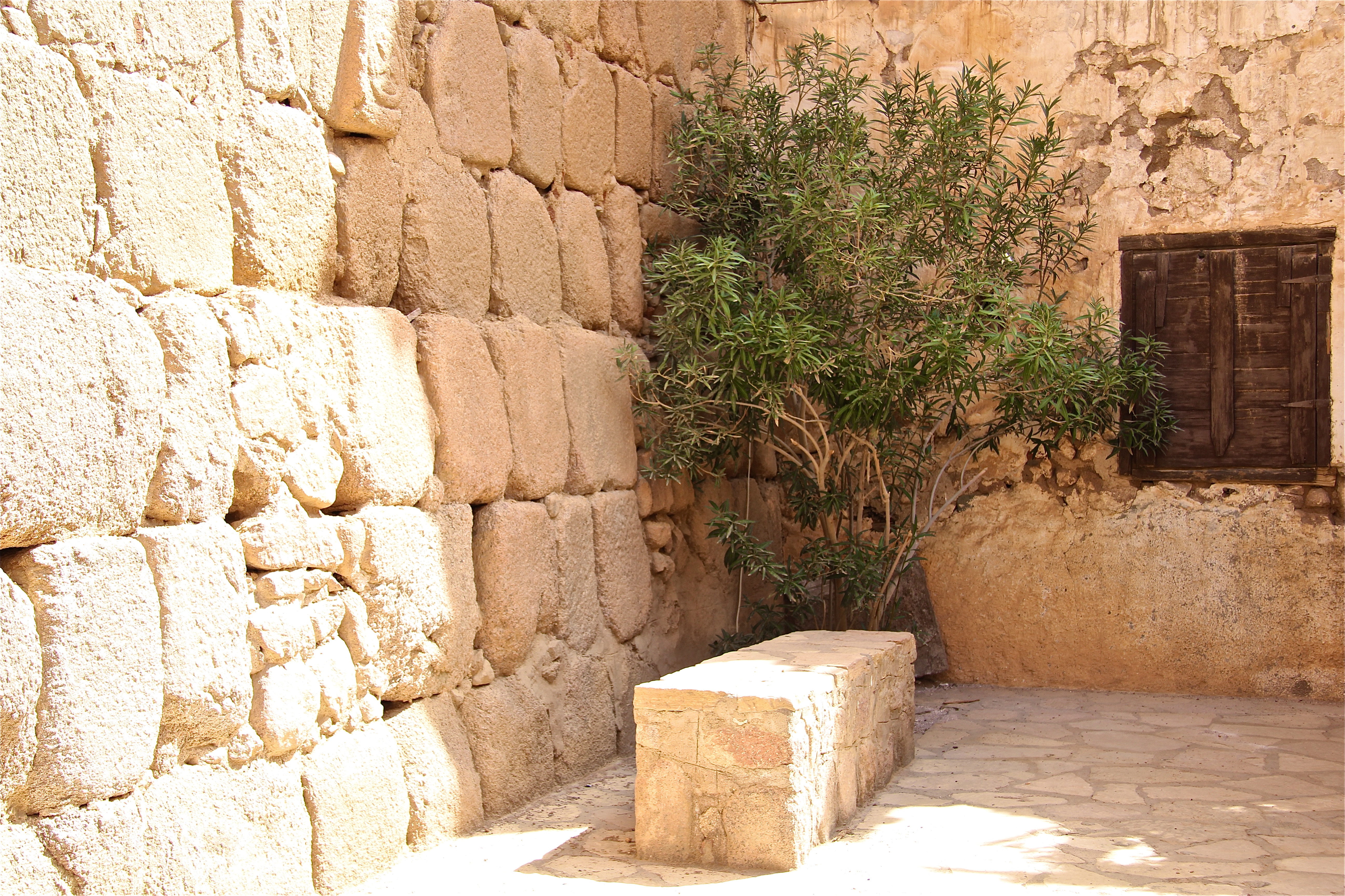 MONT SINAÏ