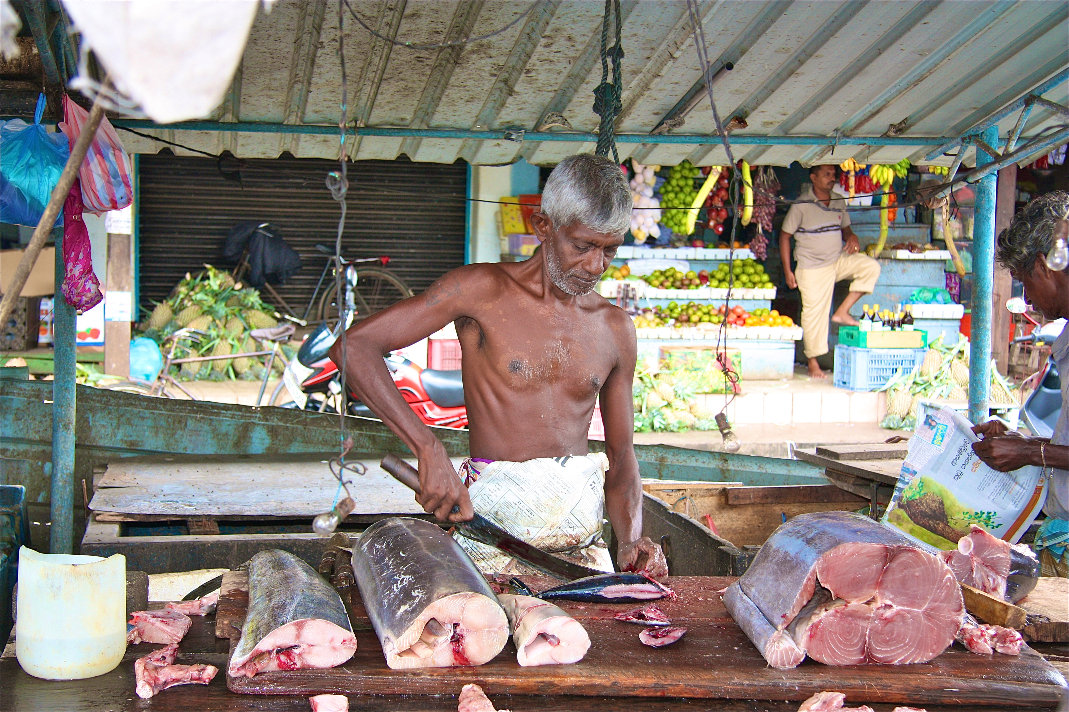 GALLE