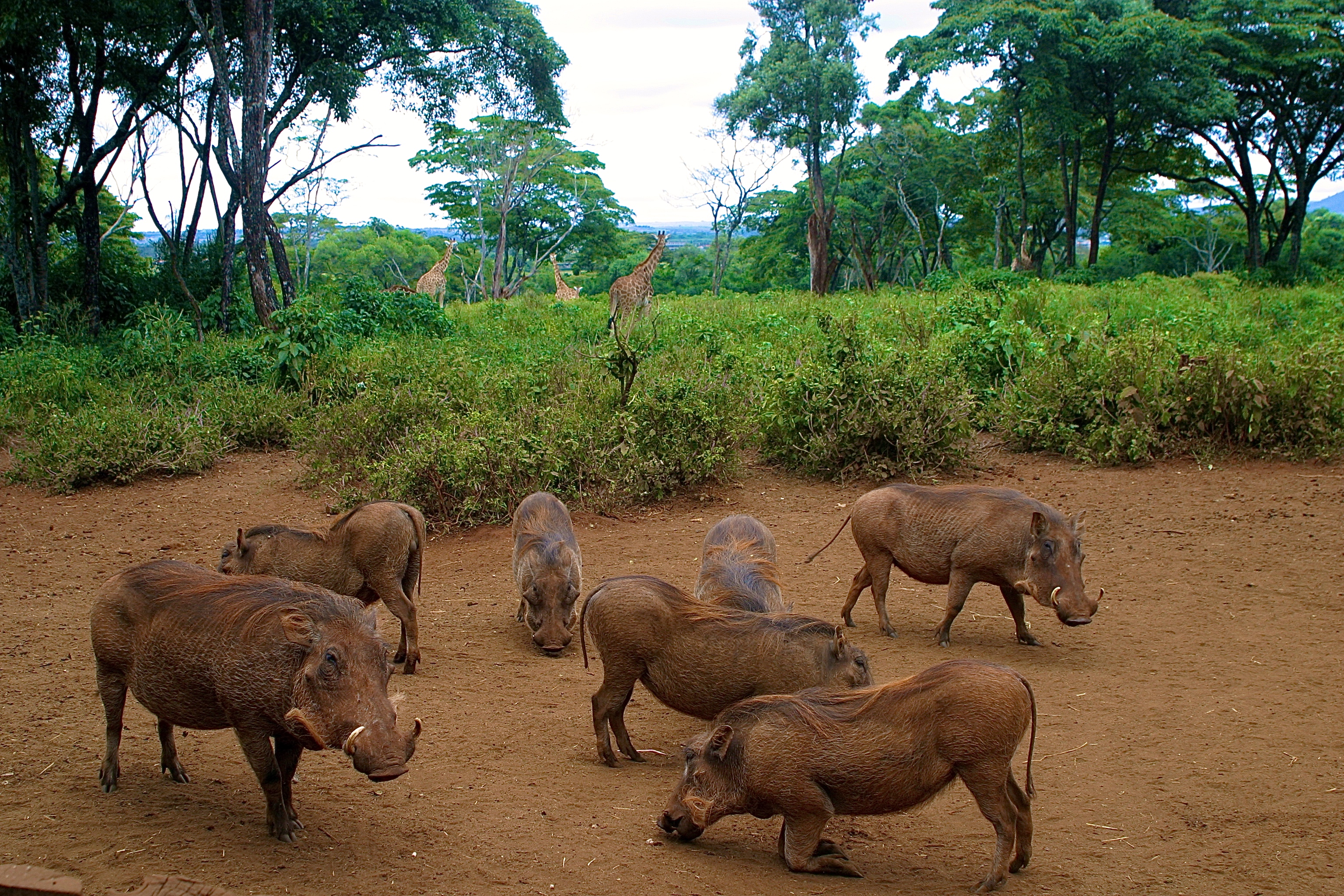 NAIROBI
