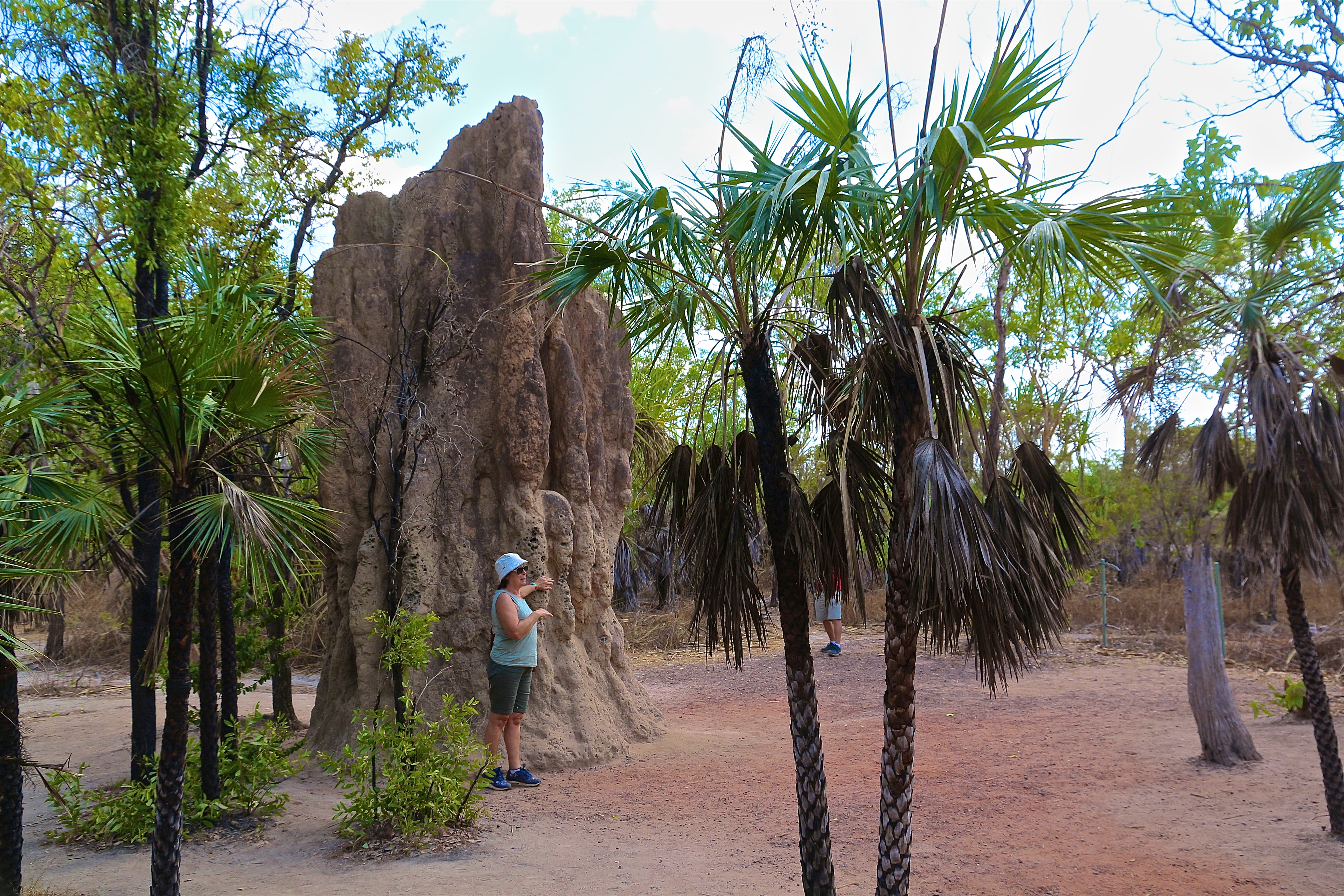 LITCHFIELD NATIONAL PARK