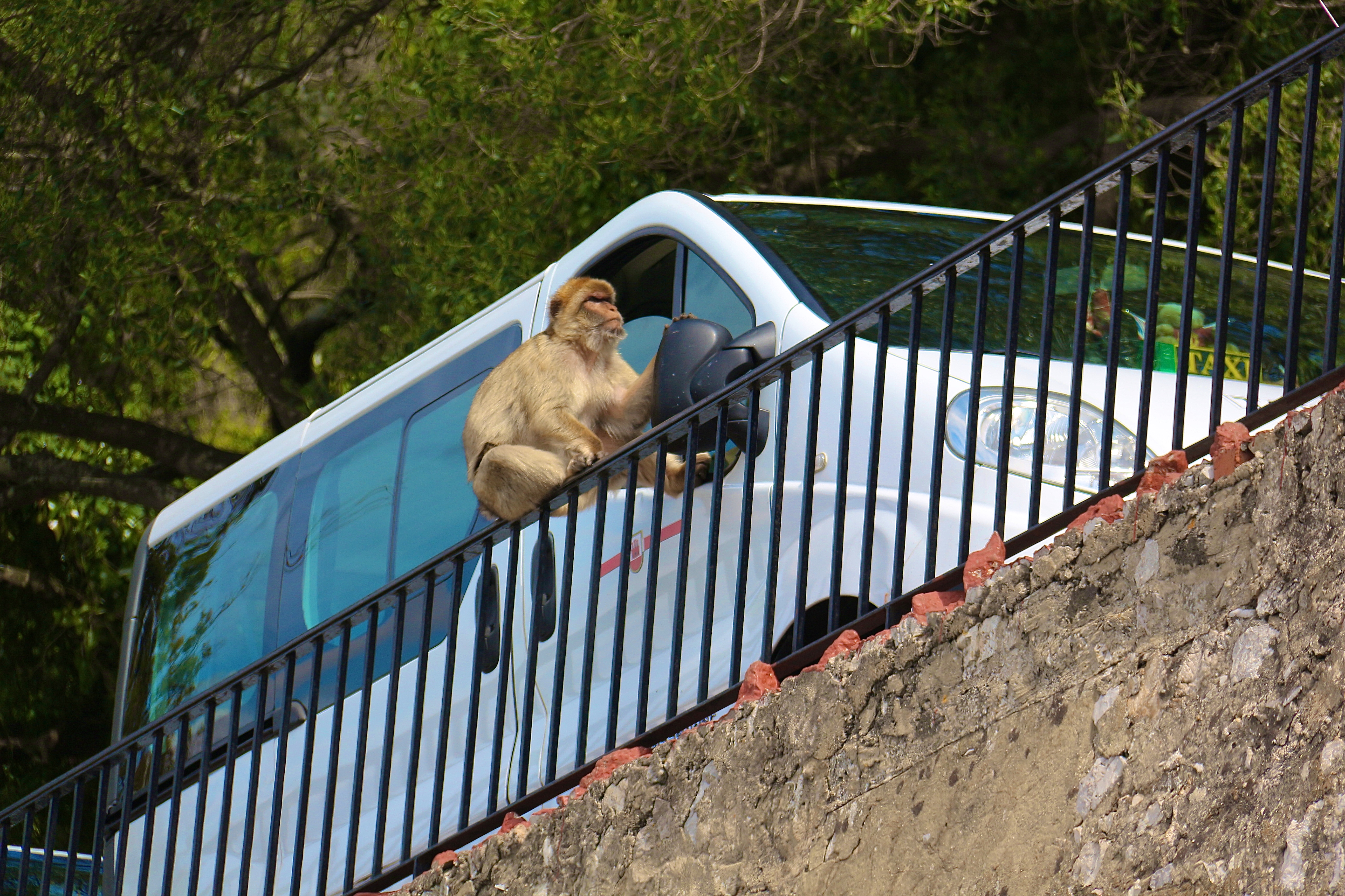 GIBRALTAR