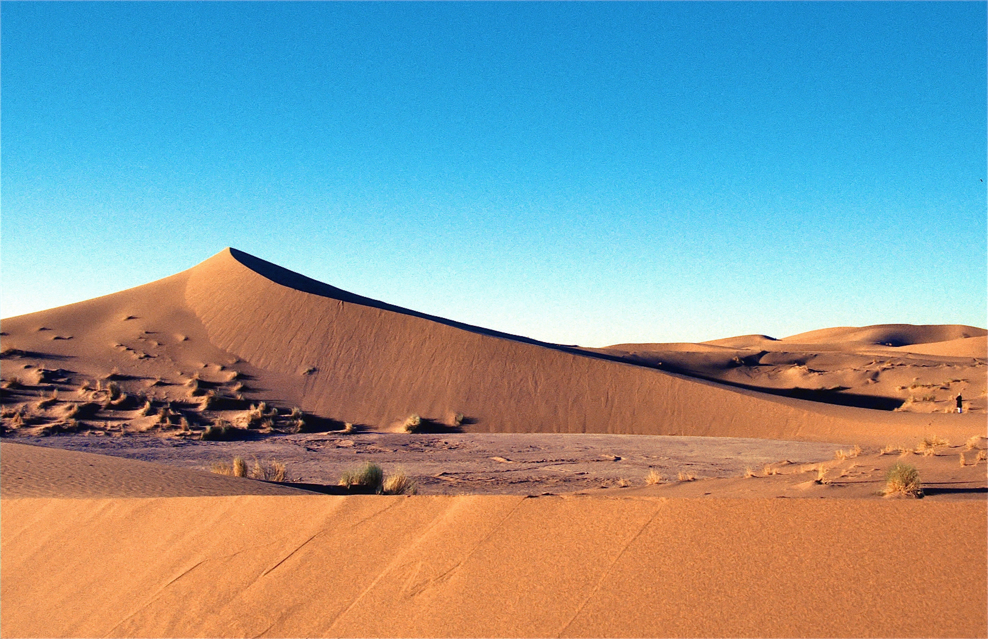 LE SAHARA