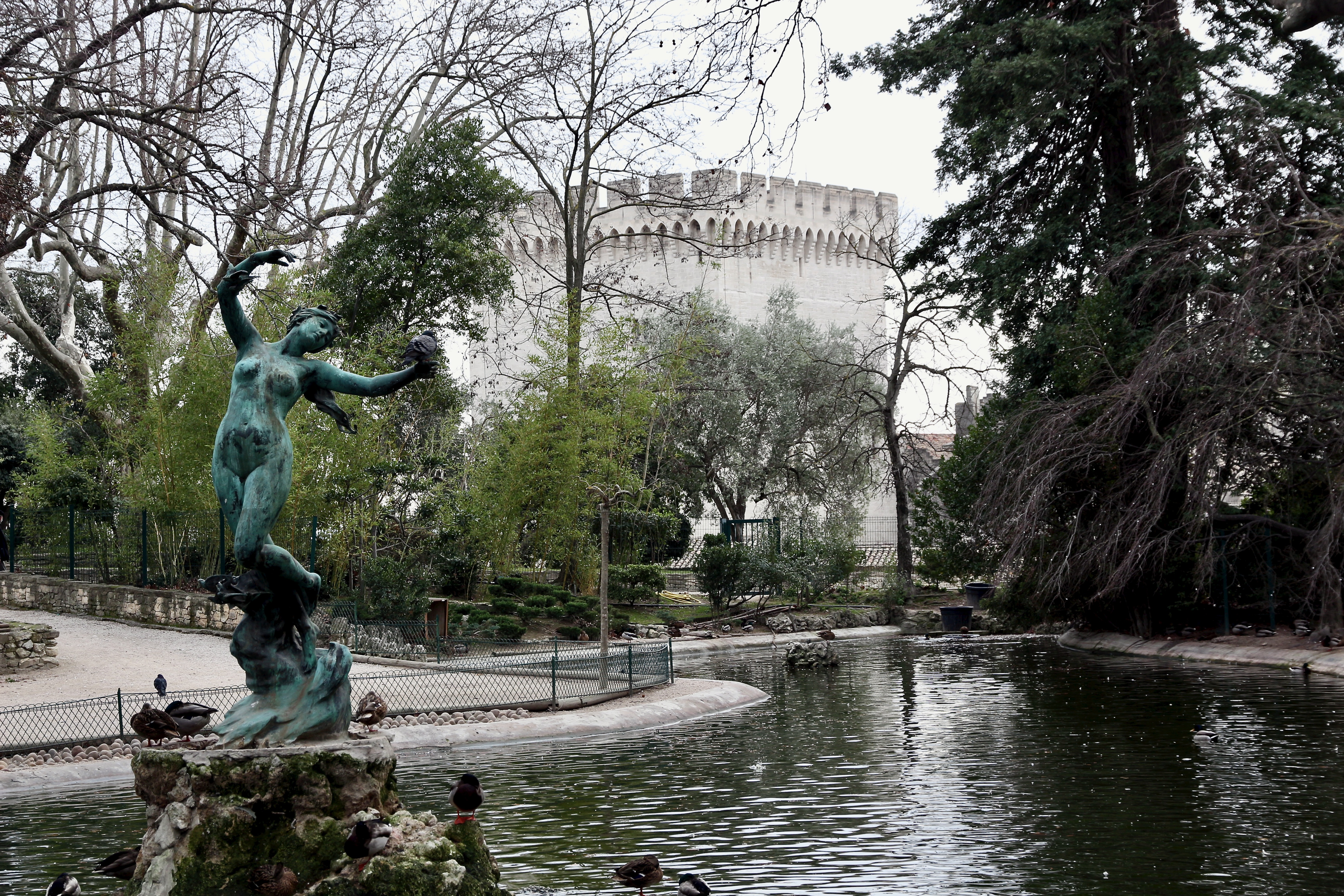 AVIGNON