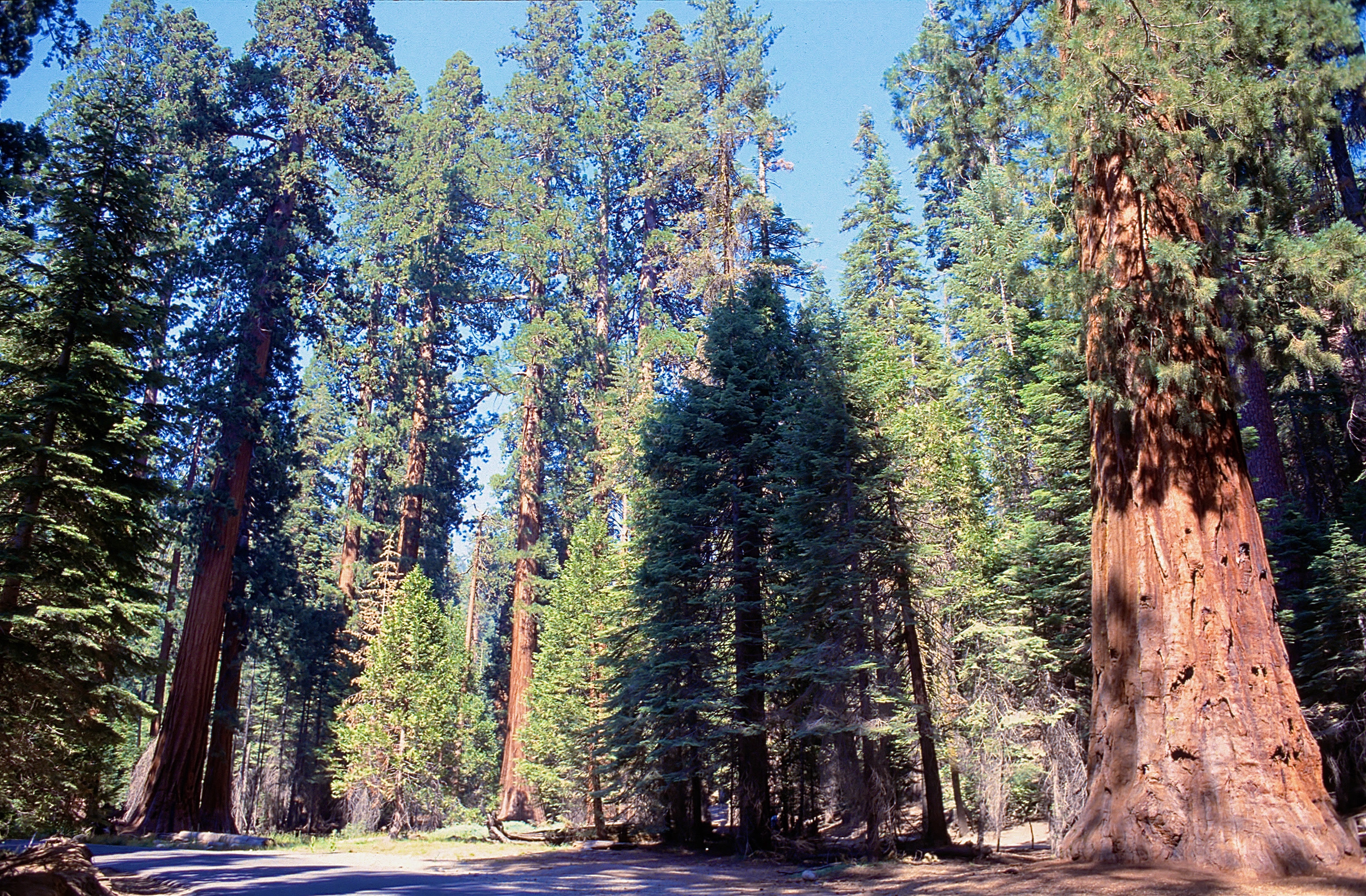 YOSEMITE NATIONAL PARK