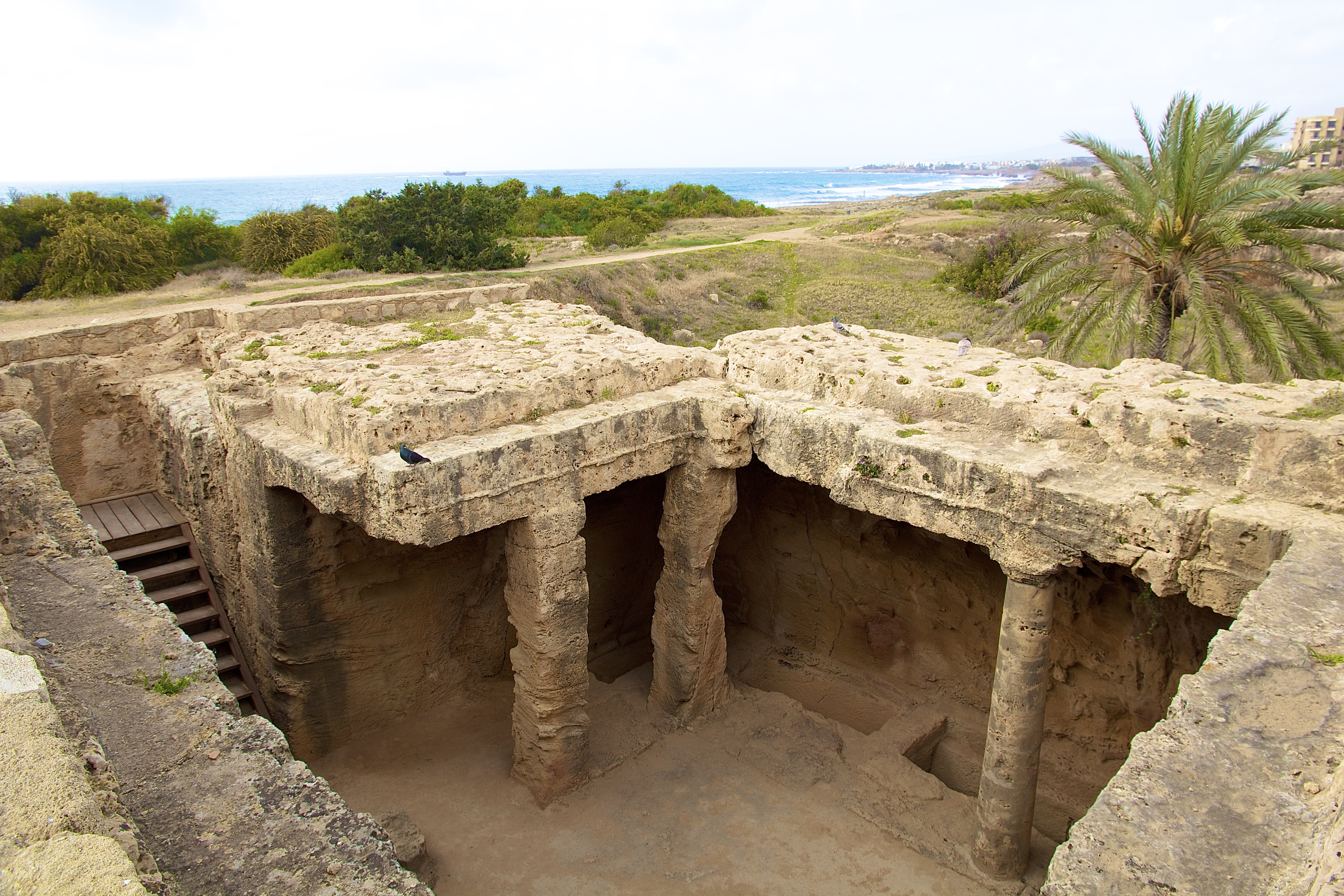 KATO PAPHOS