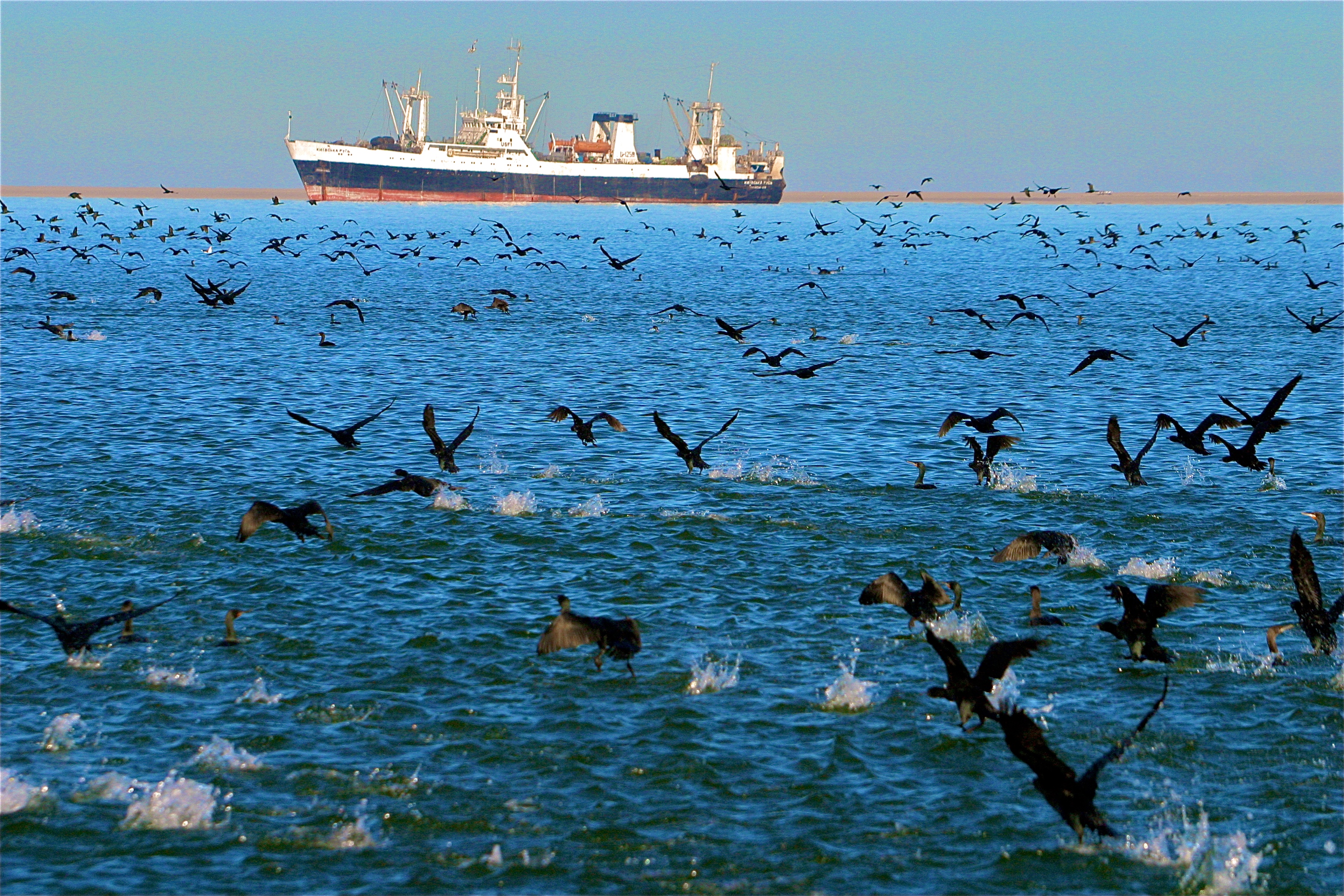 WALVIS BAY
