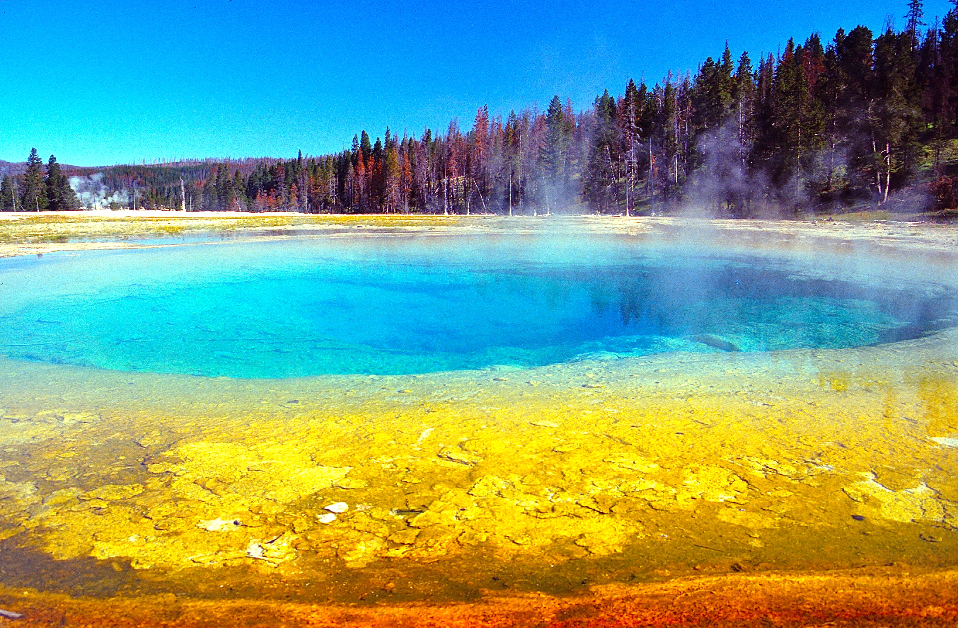 YELLOWSTONE NATIONAL PARK