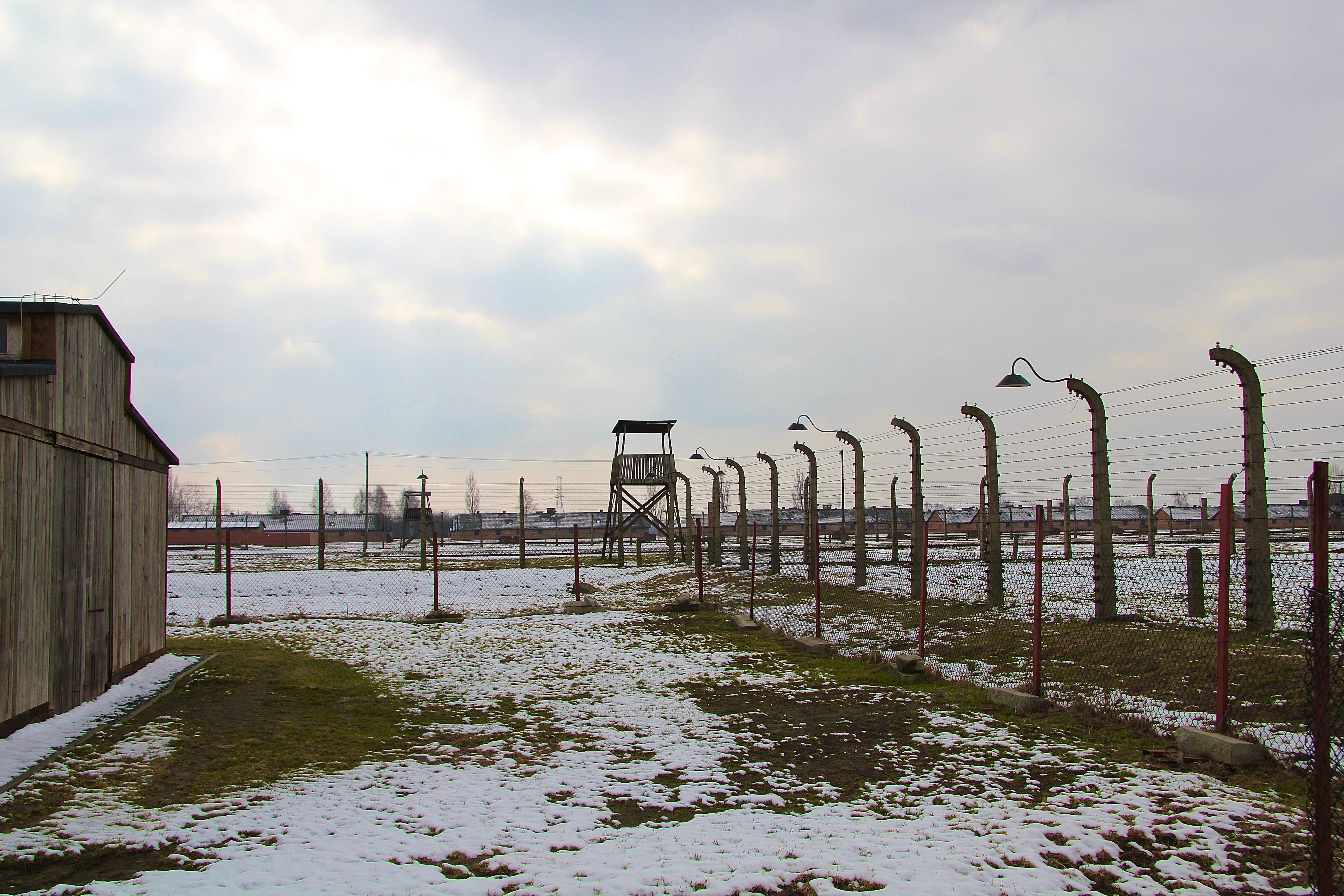 Nous quittons l'enfer de Birkenau