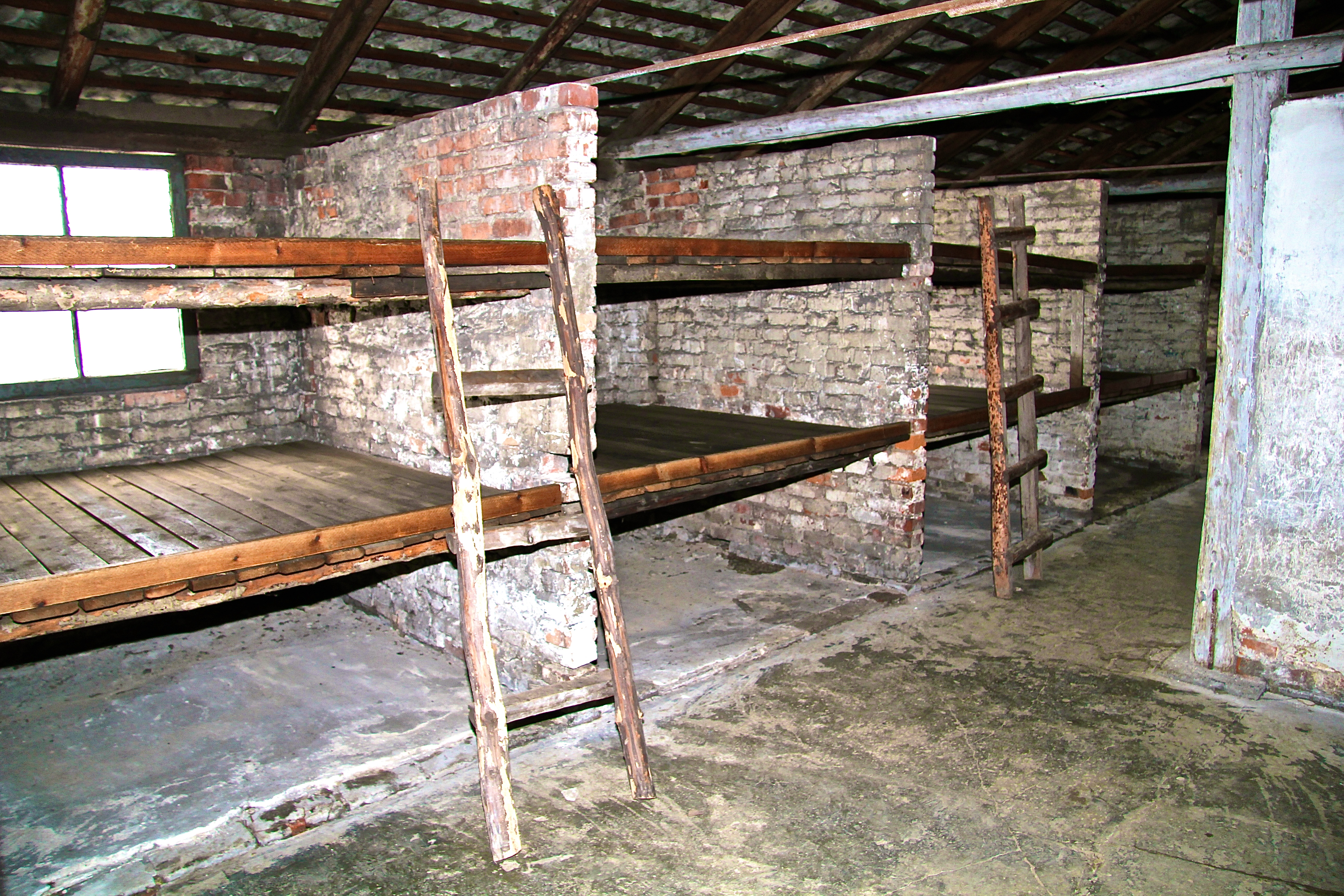 Birkenau, le quartier des femmes
