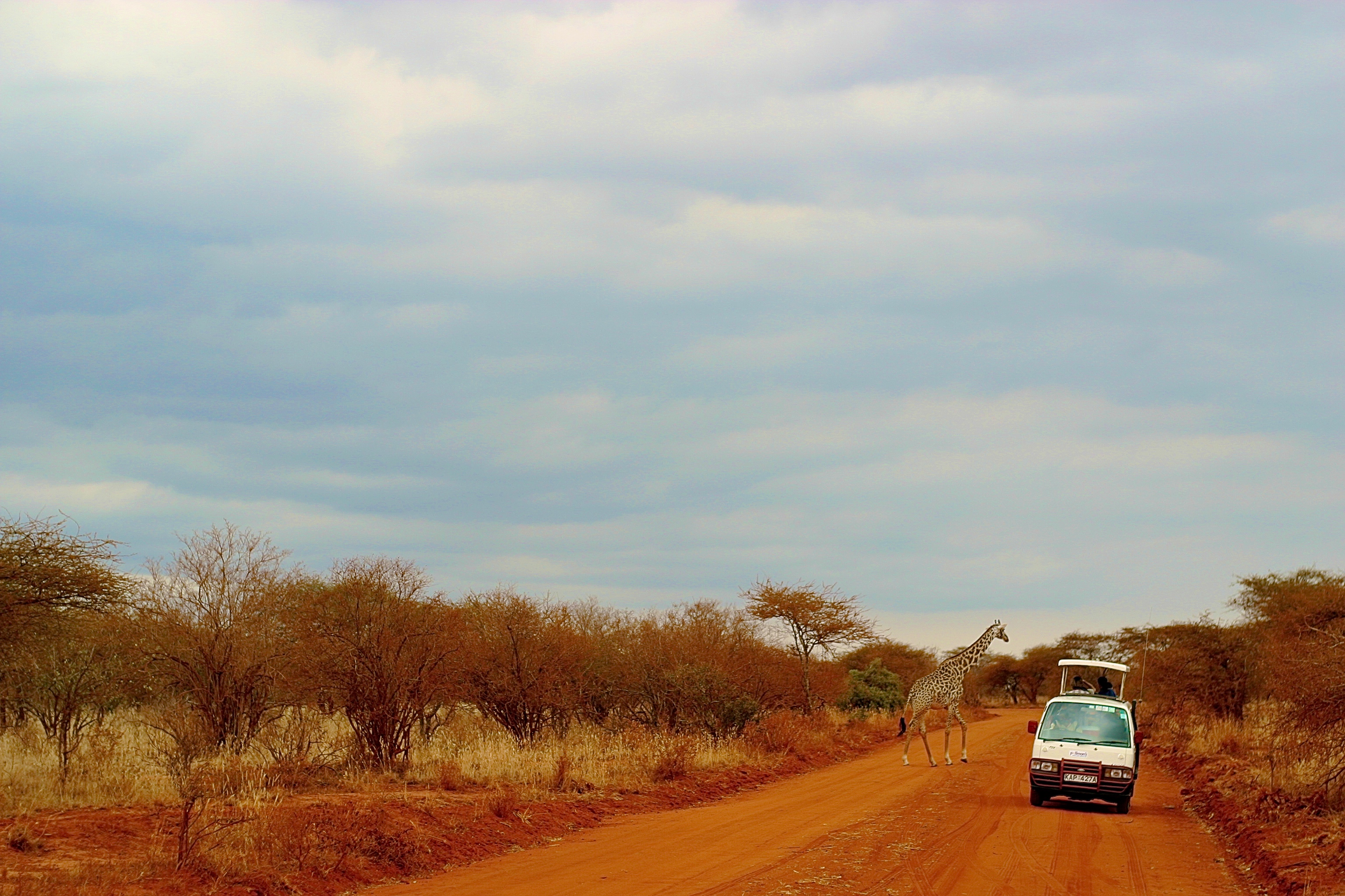 PARC NATIONAL DE TSAVO-WEST