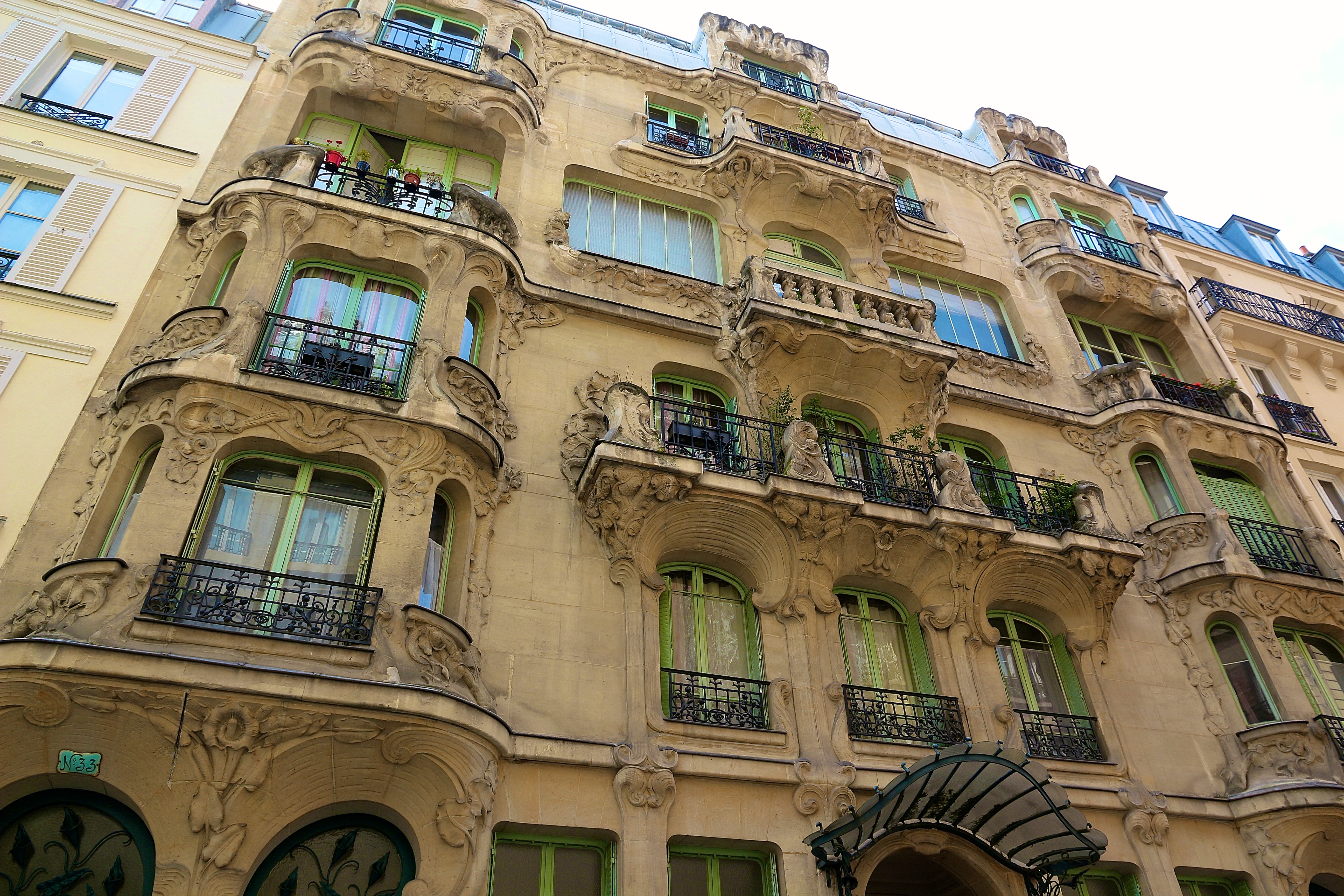 "les Arums"
