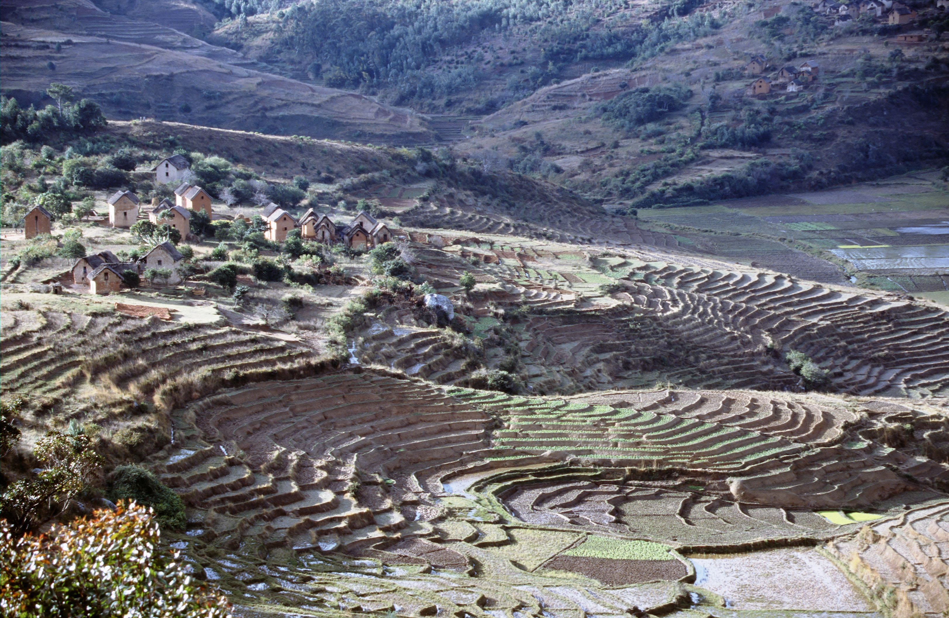 HAUTS-PLATEAUX