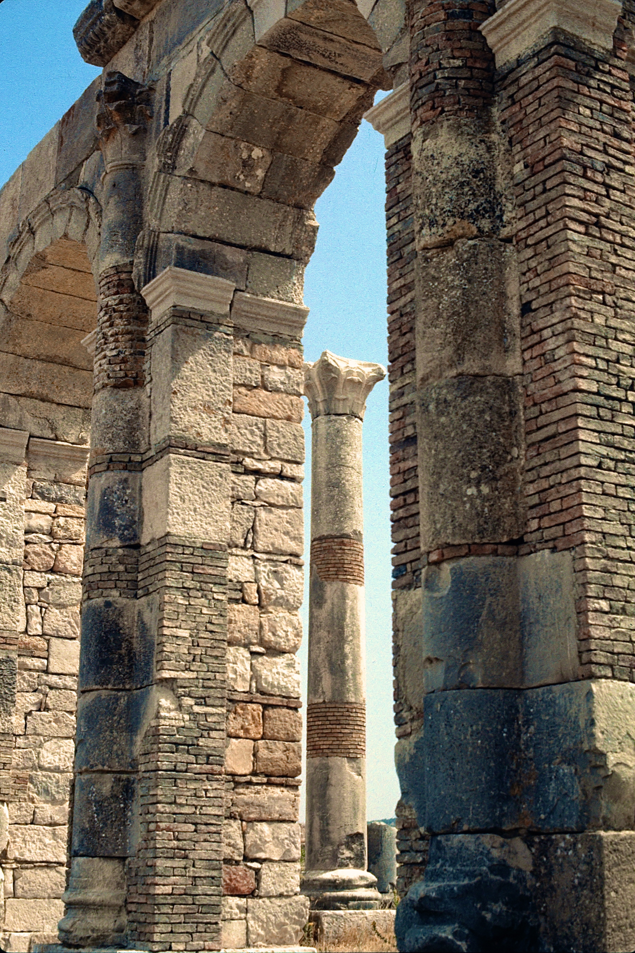 VOLUBILIS
