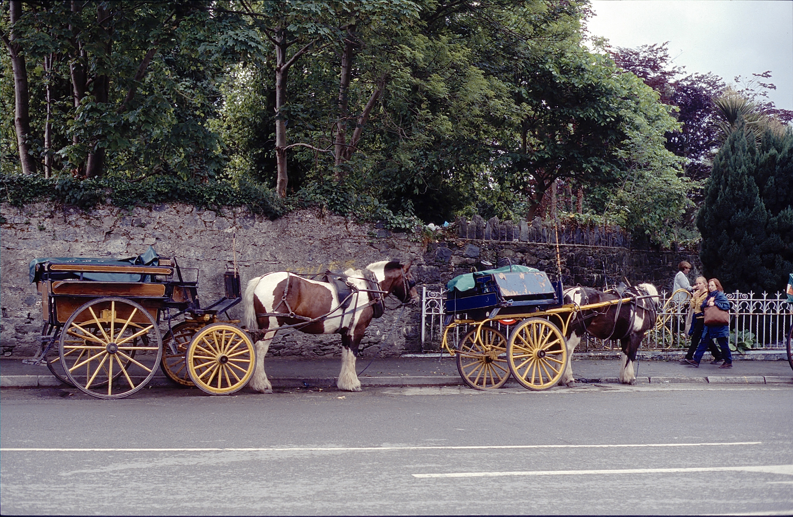 KILLARNEY