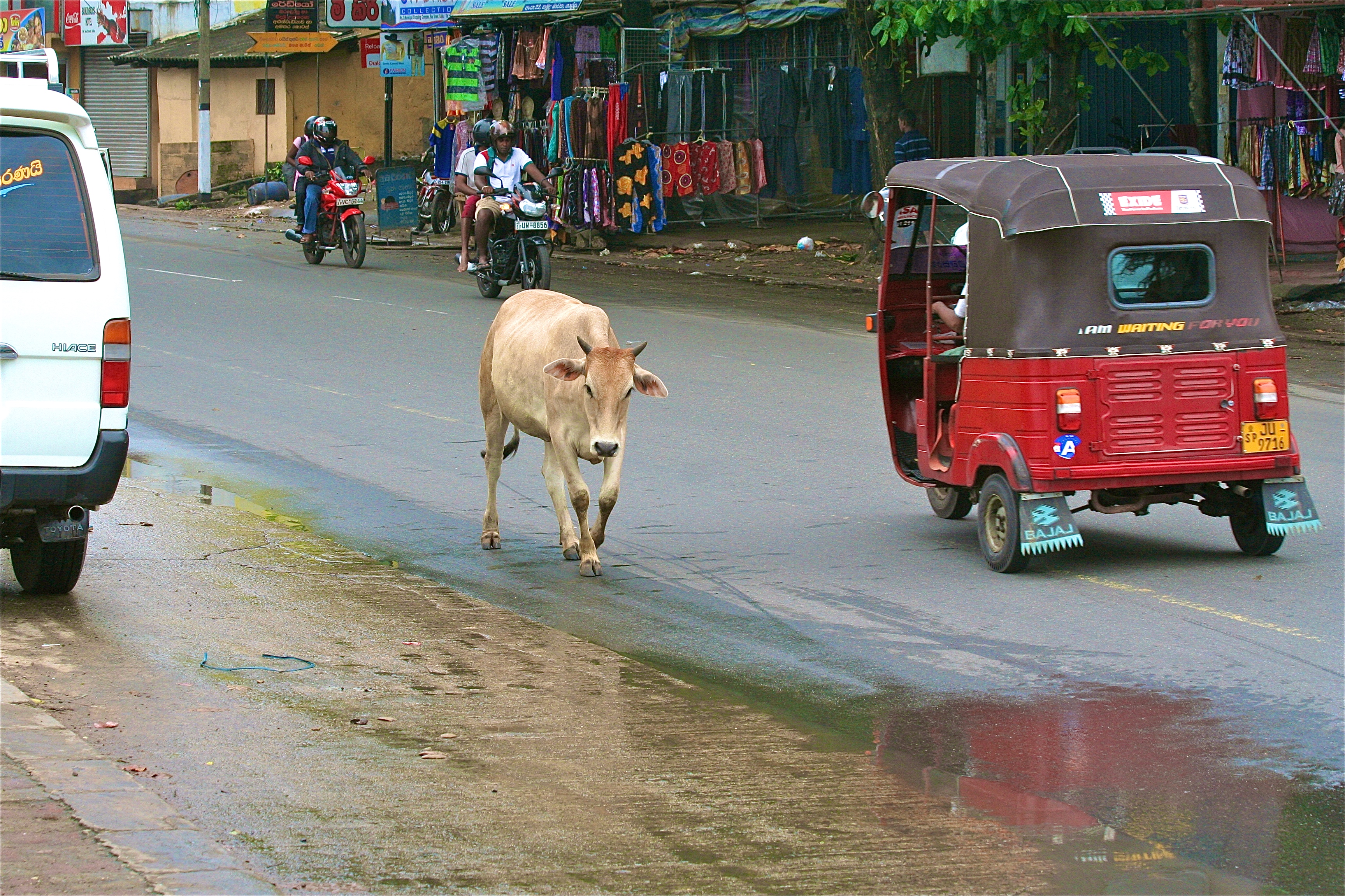 GALLE