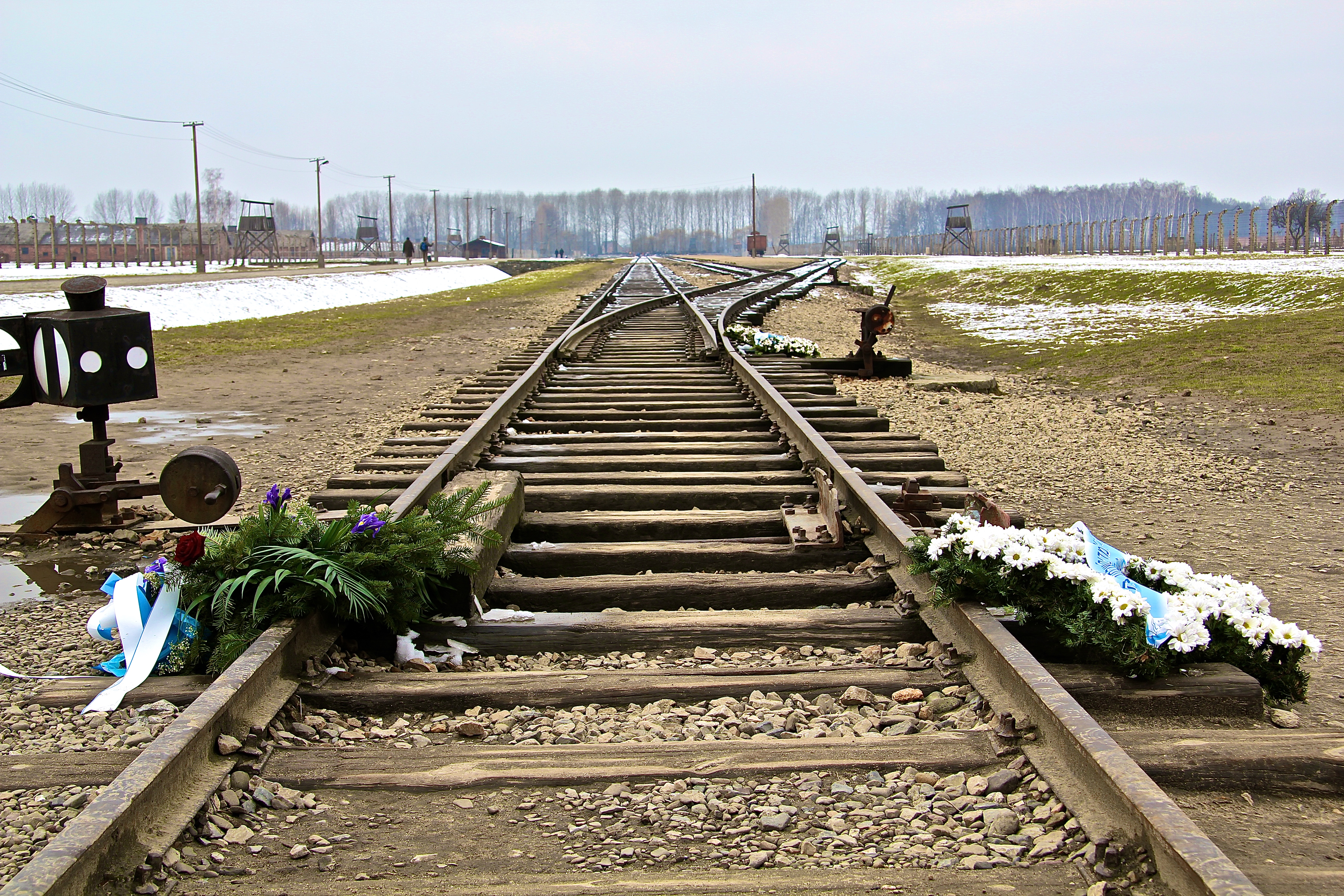 Birkenau