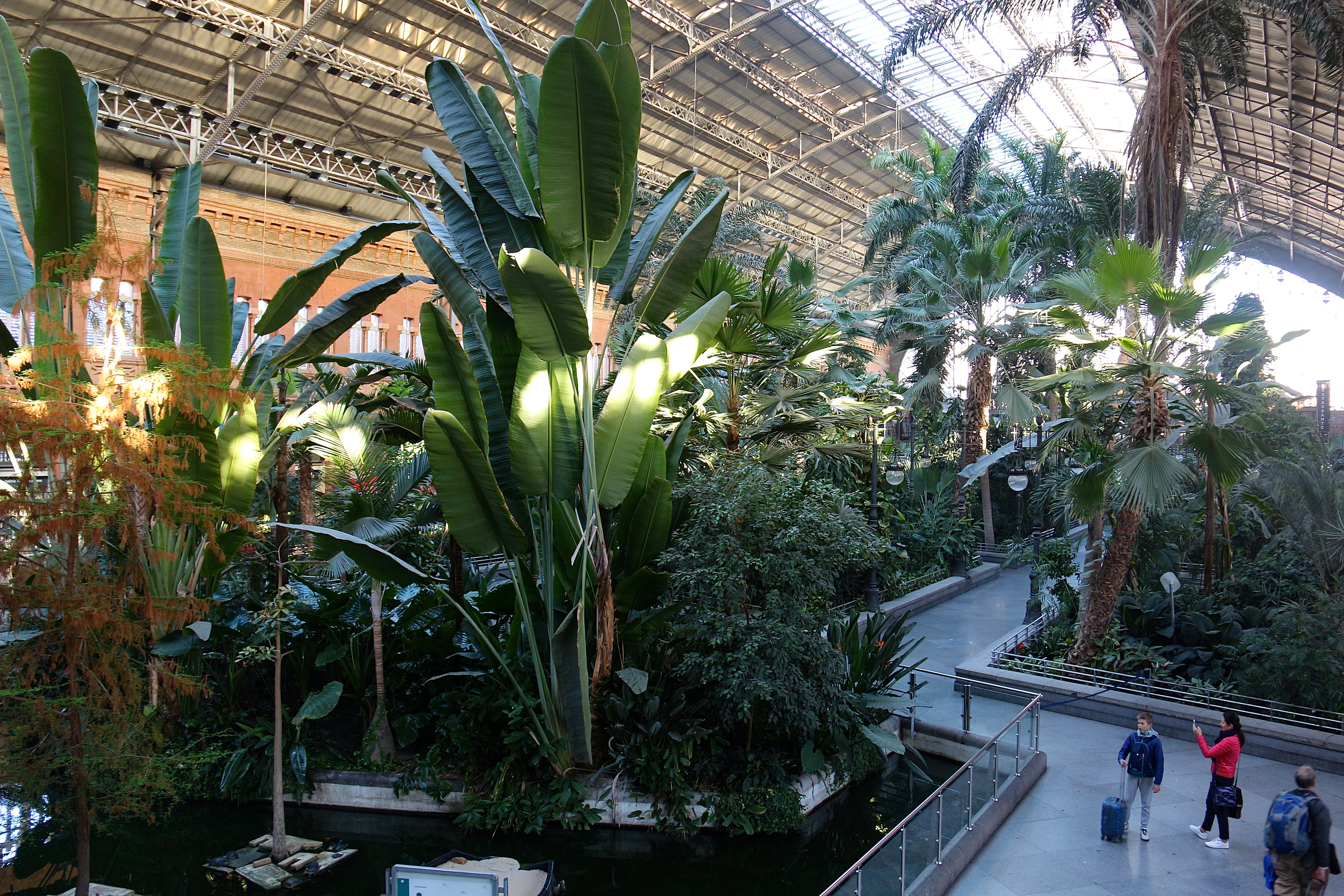 MADRID