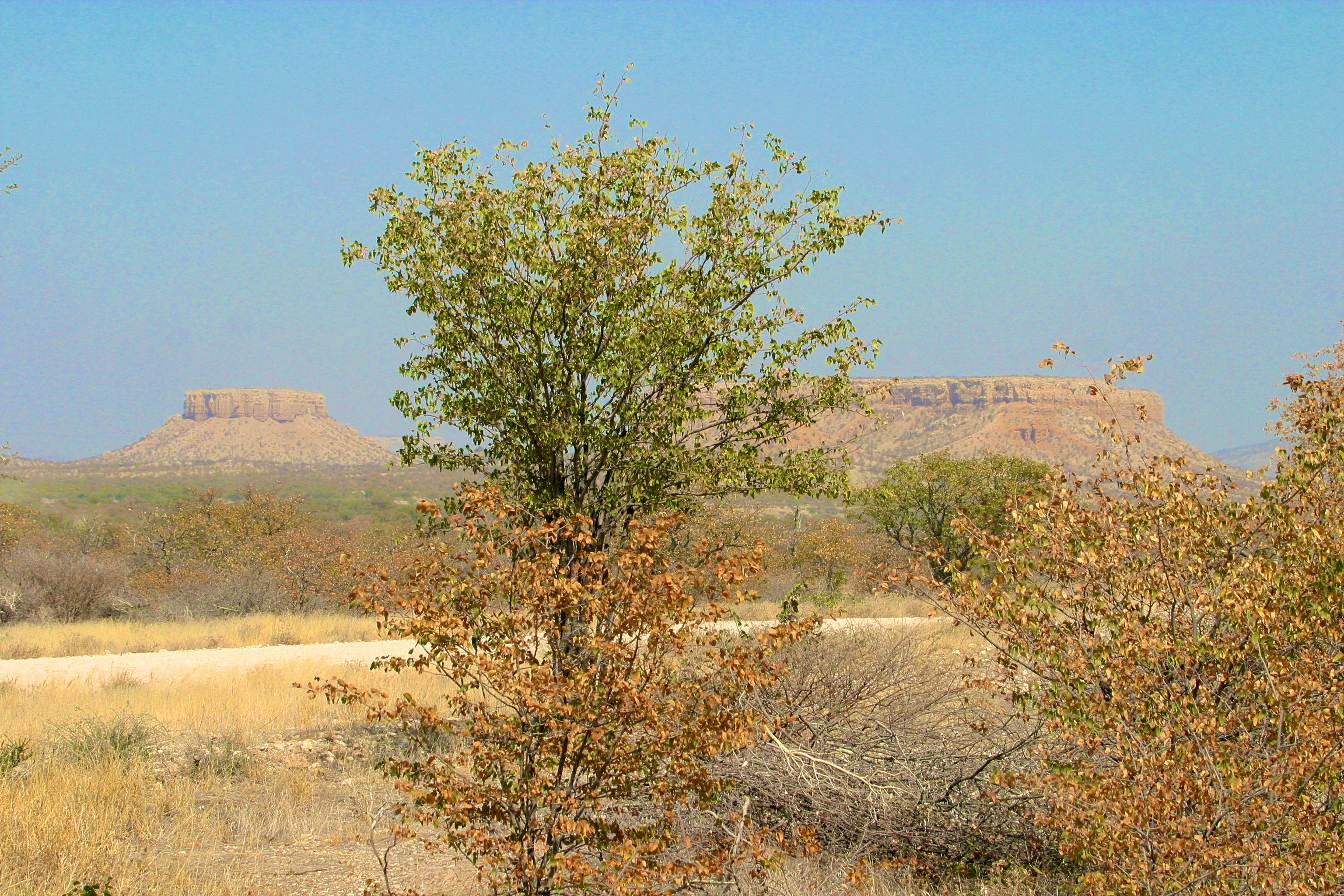 UGAB VALLEY