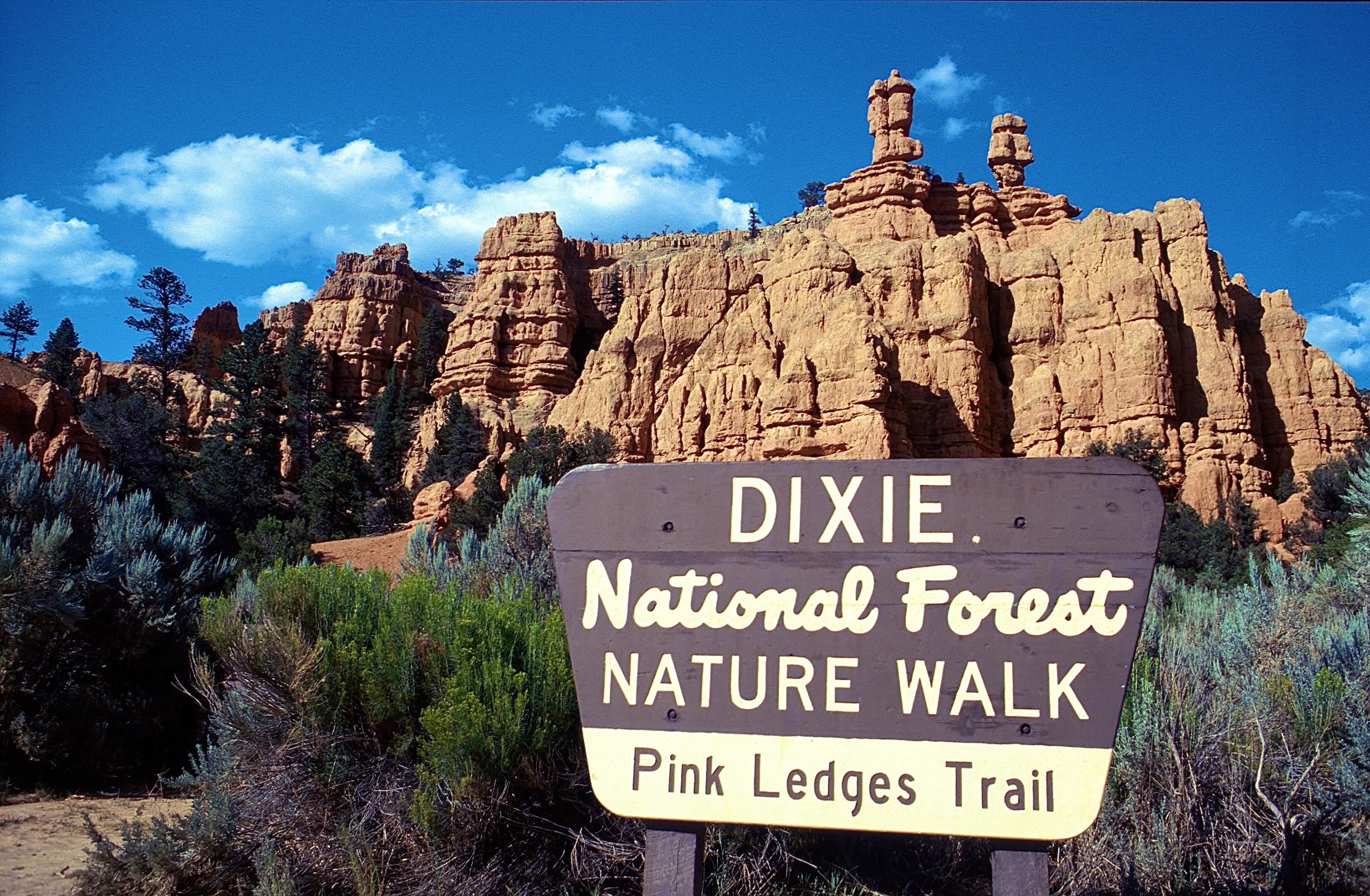 RED CANYON