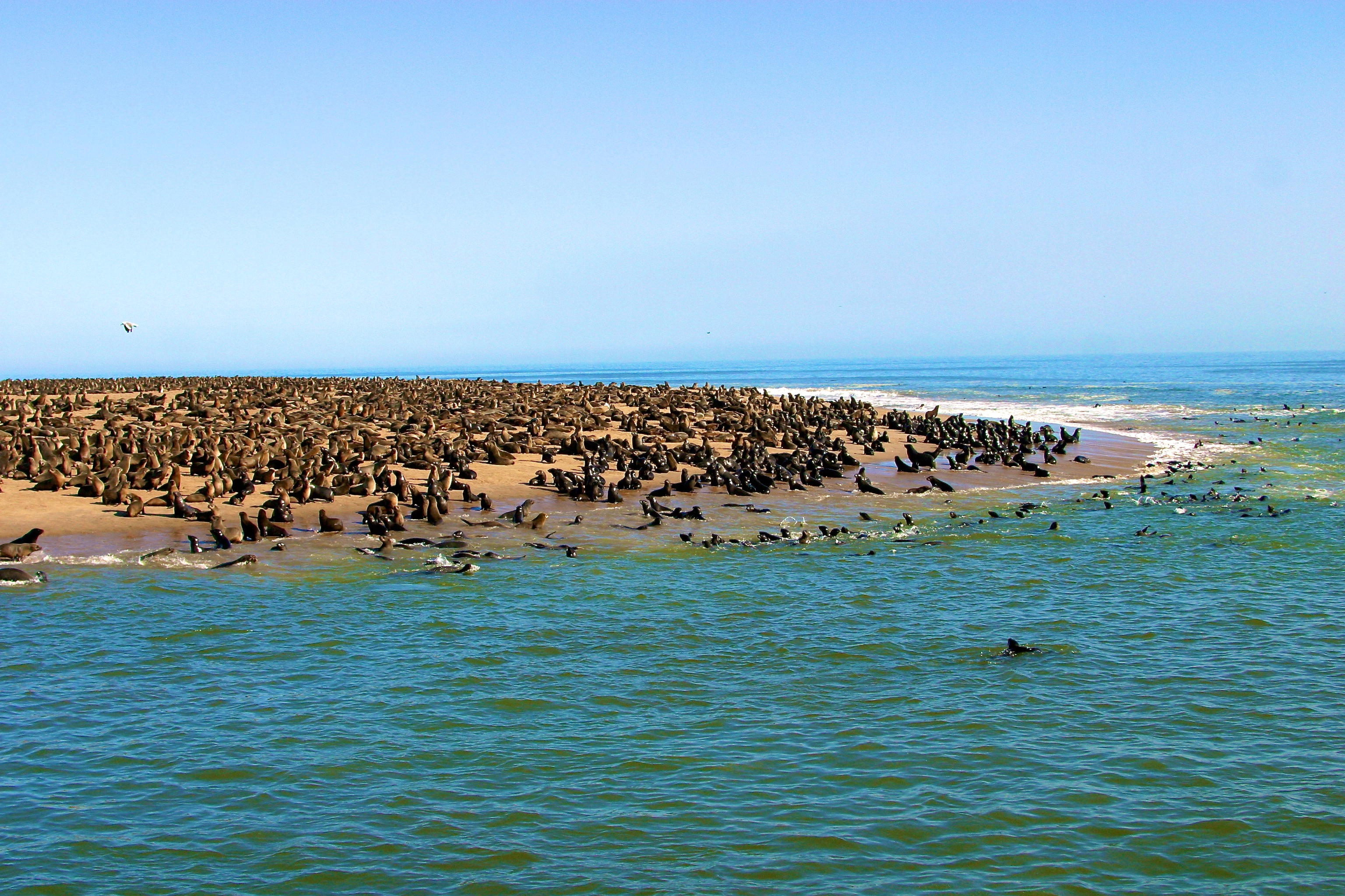 WALVIS BAY