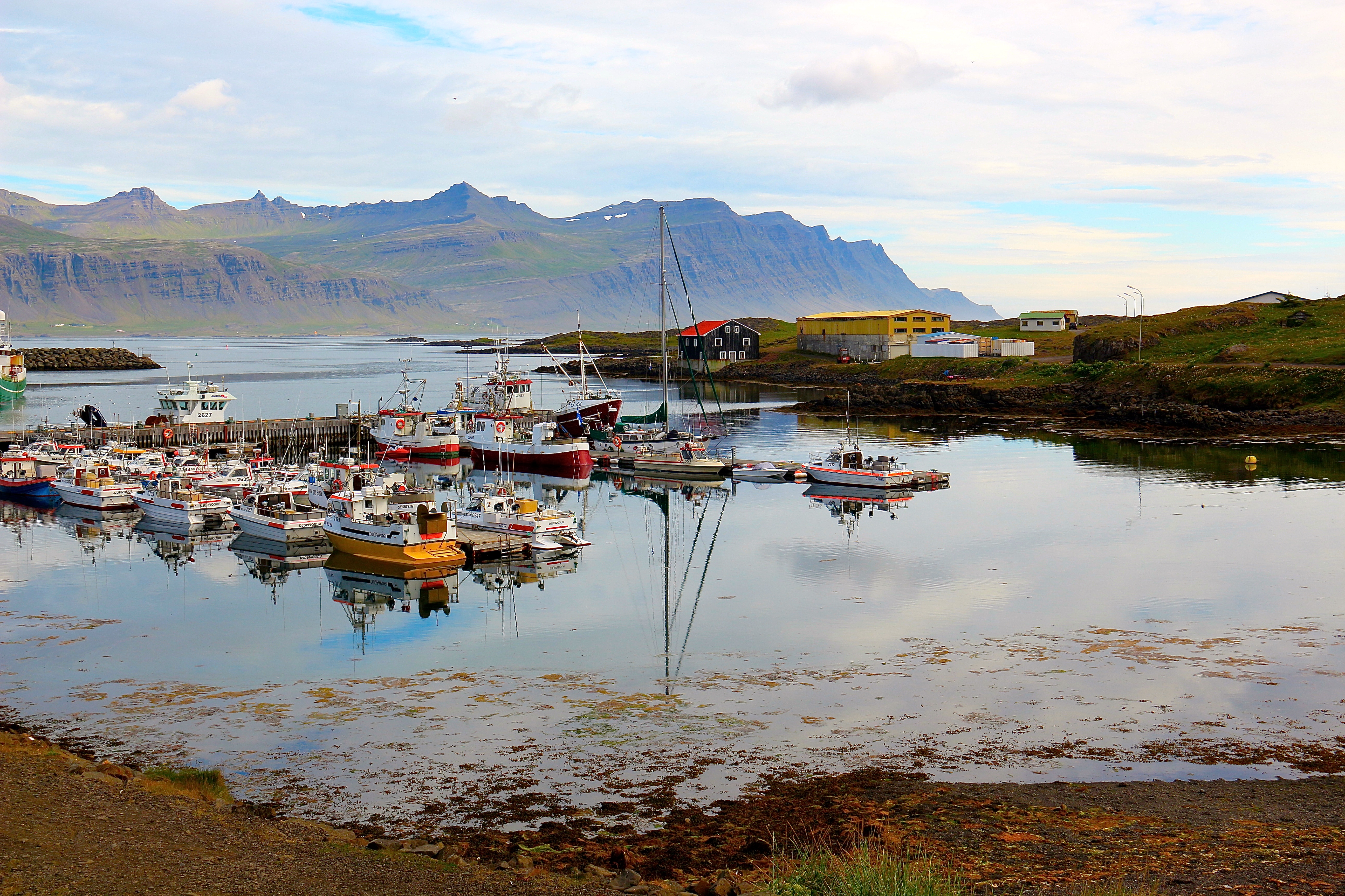 DJÚPIVOGUR