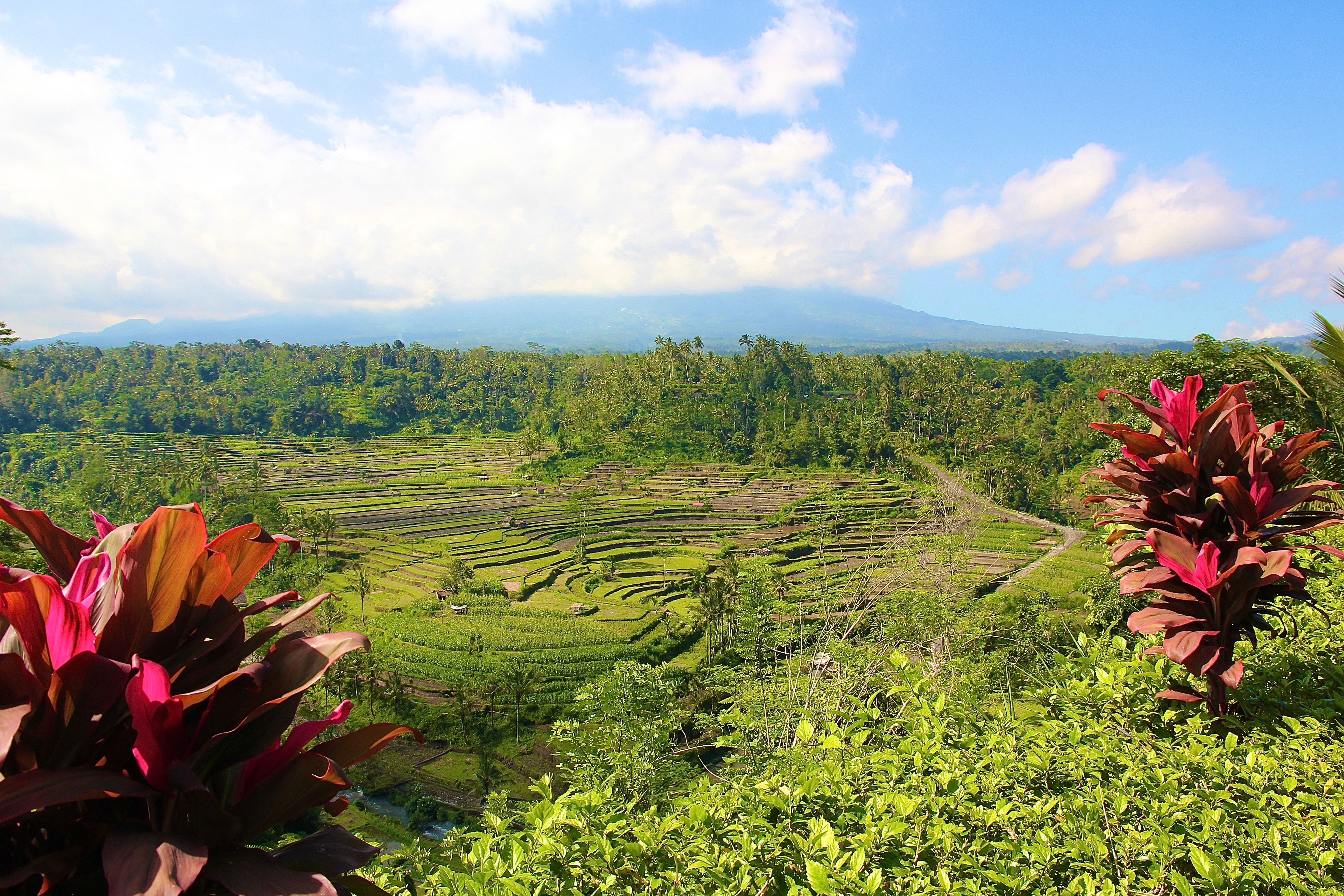 MONT AGUNG