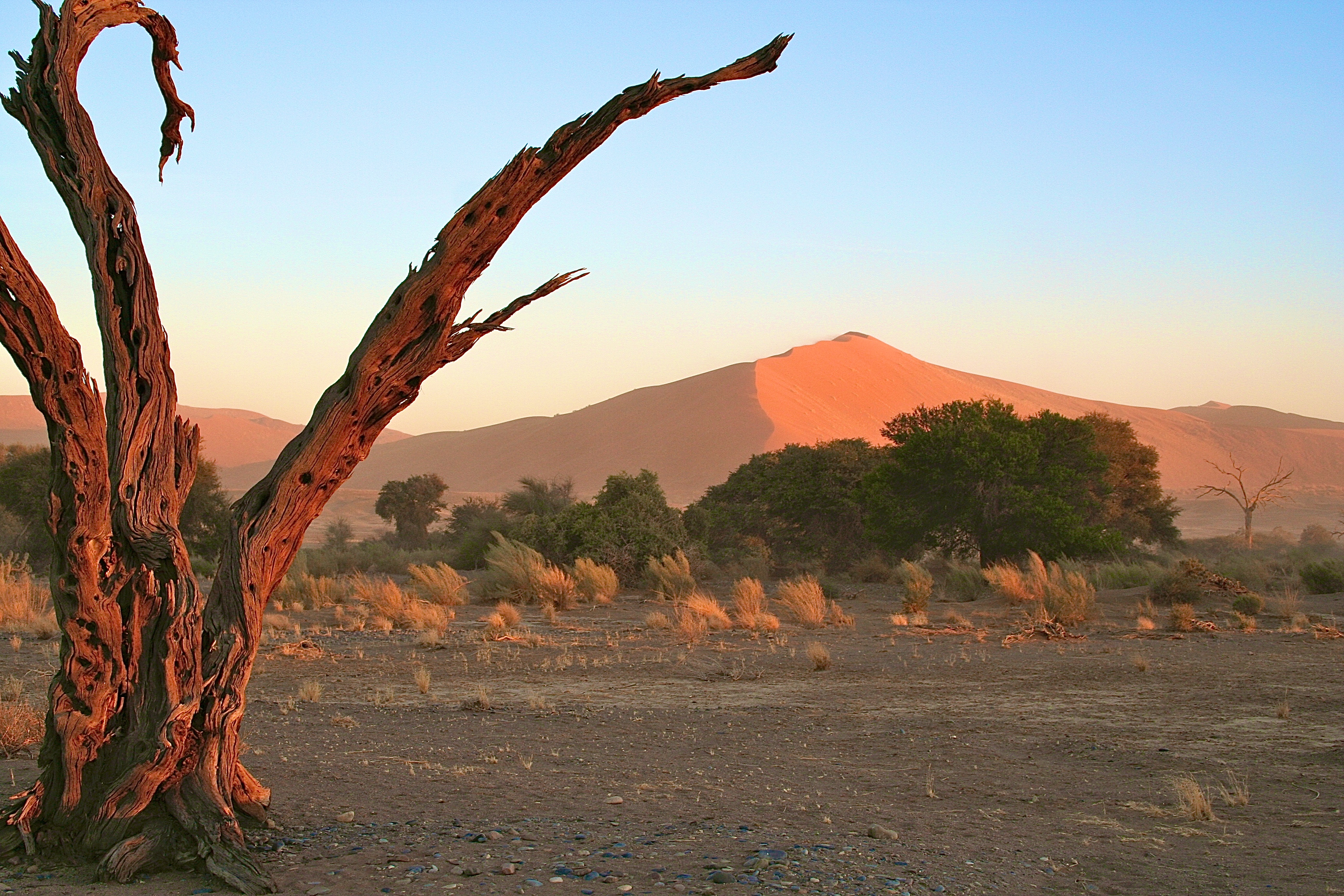 SOSSUSVLEI