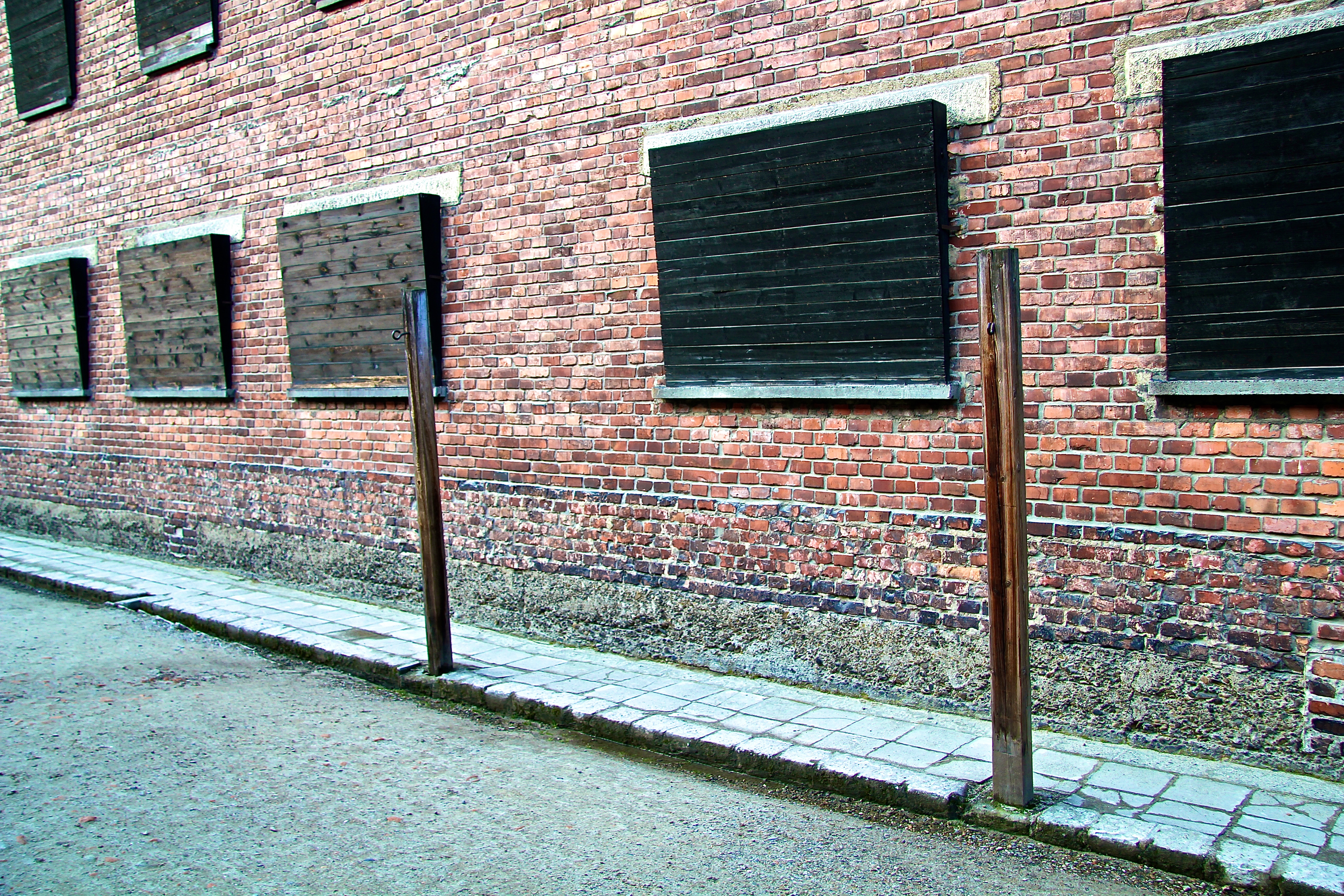 Auschwitz, le bloc 11