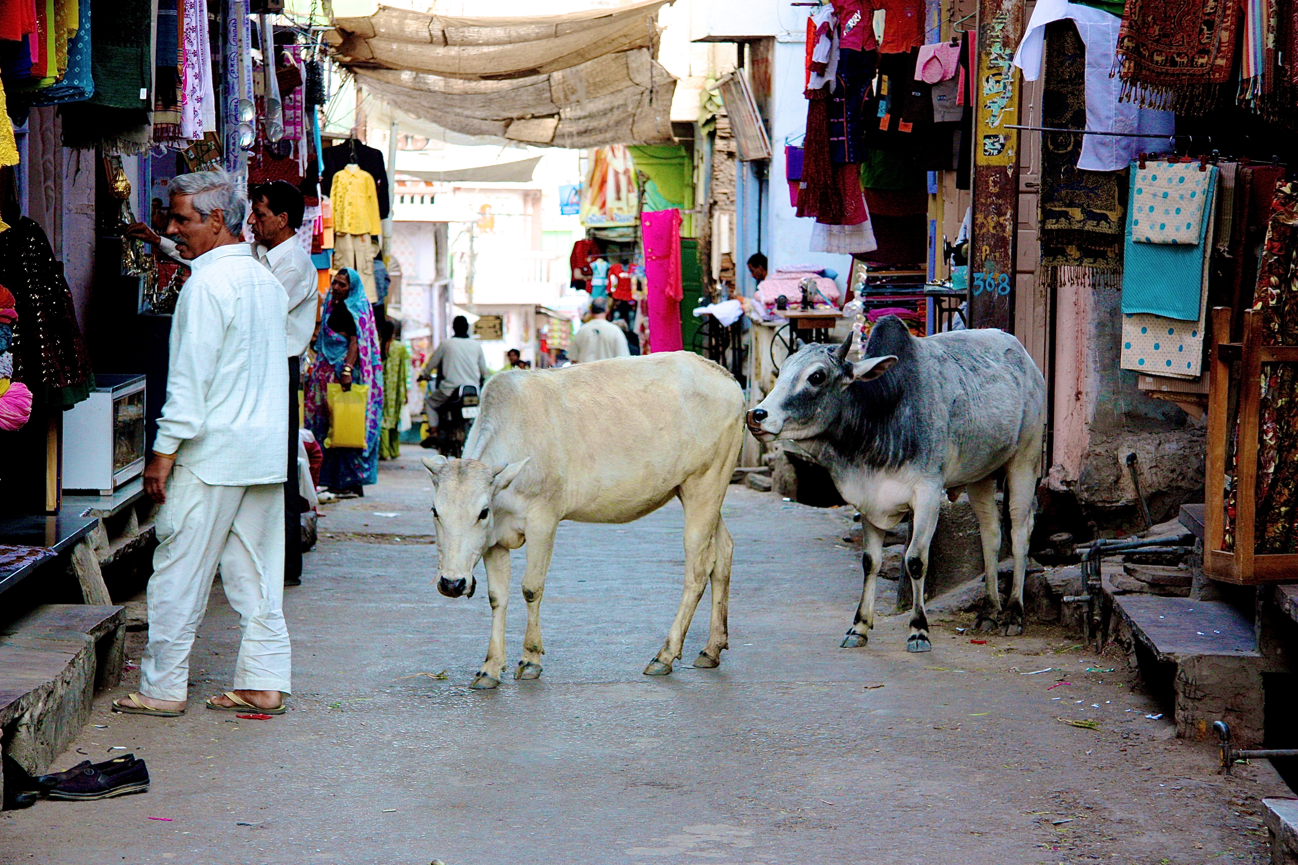 DEOGARH