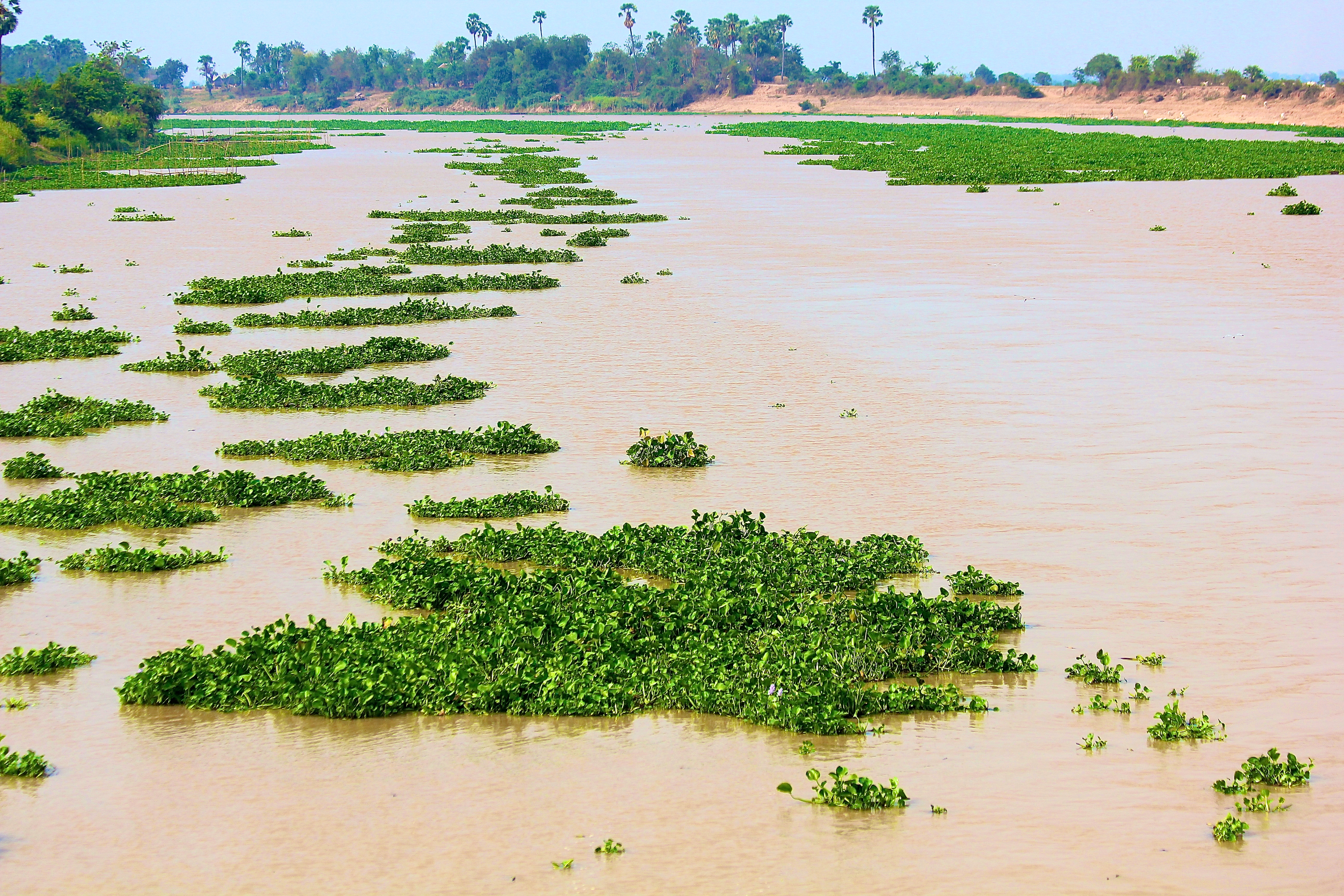 vers SIEM REAP
