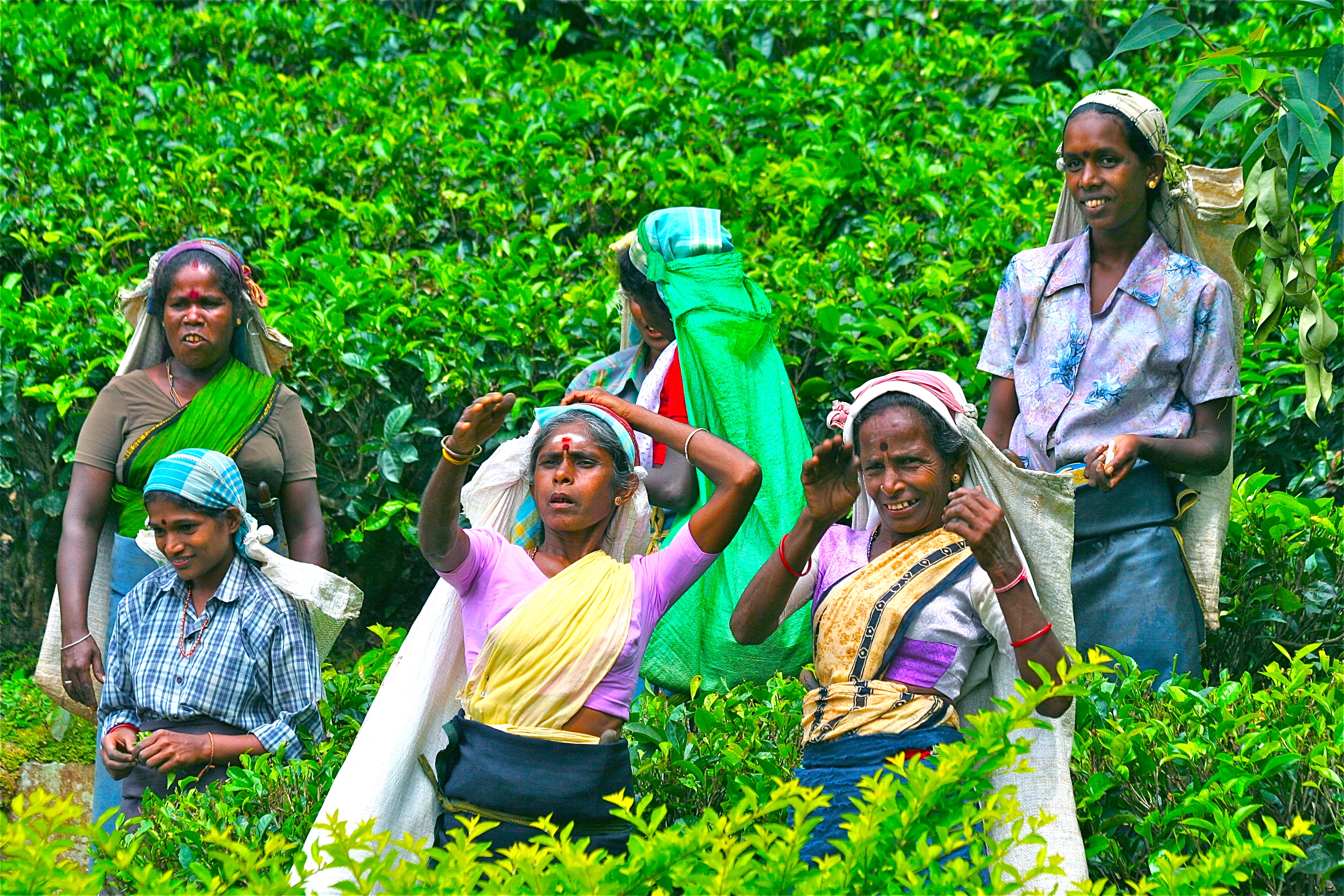 NUWARA ELIYA