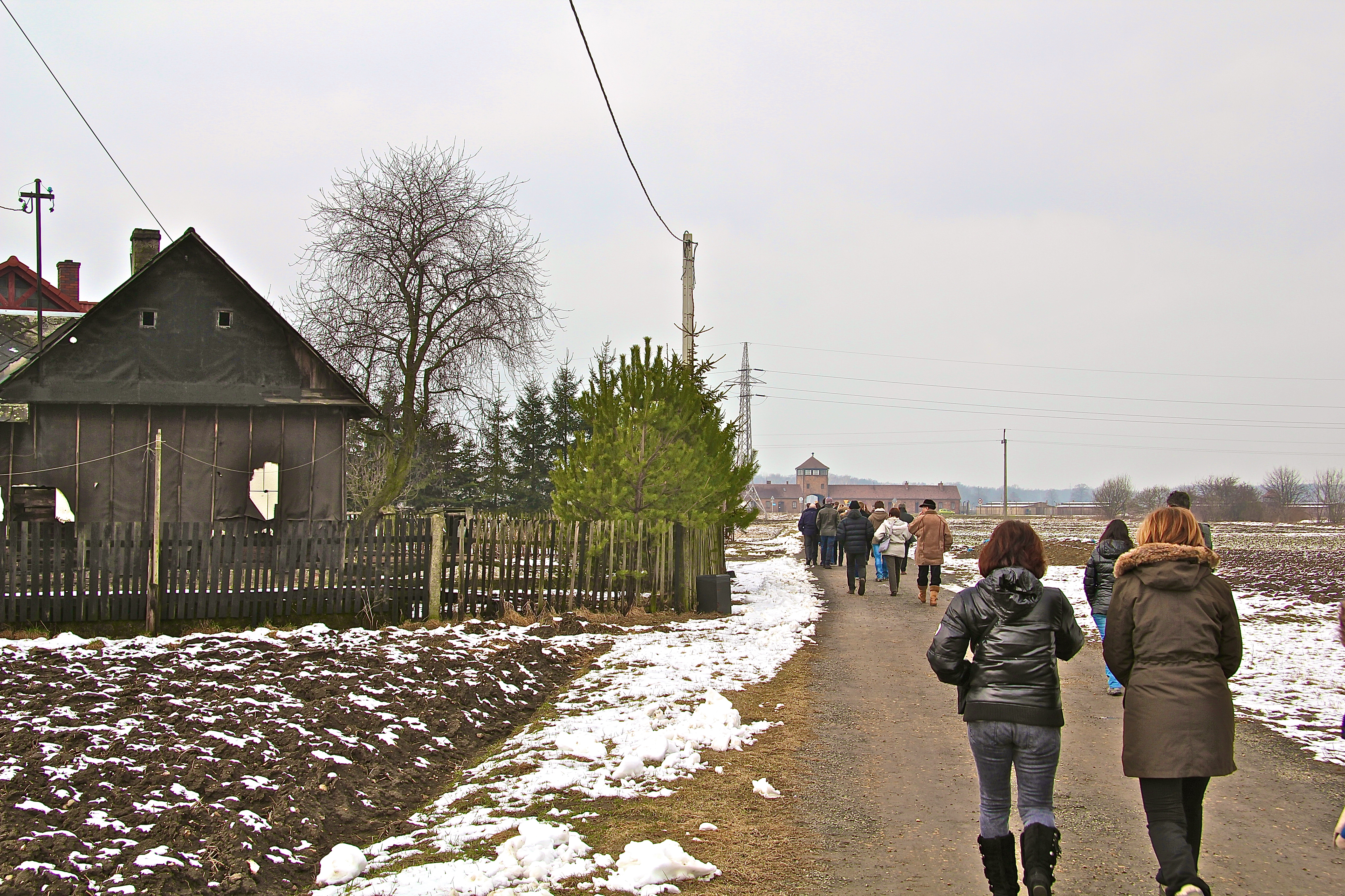 Brzezinka