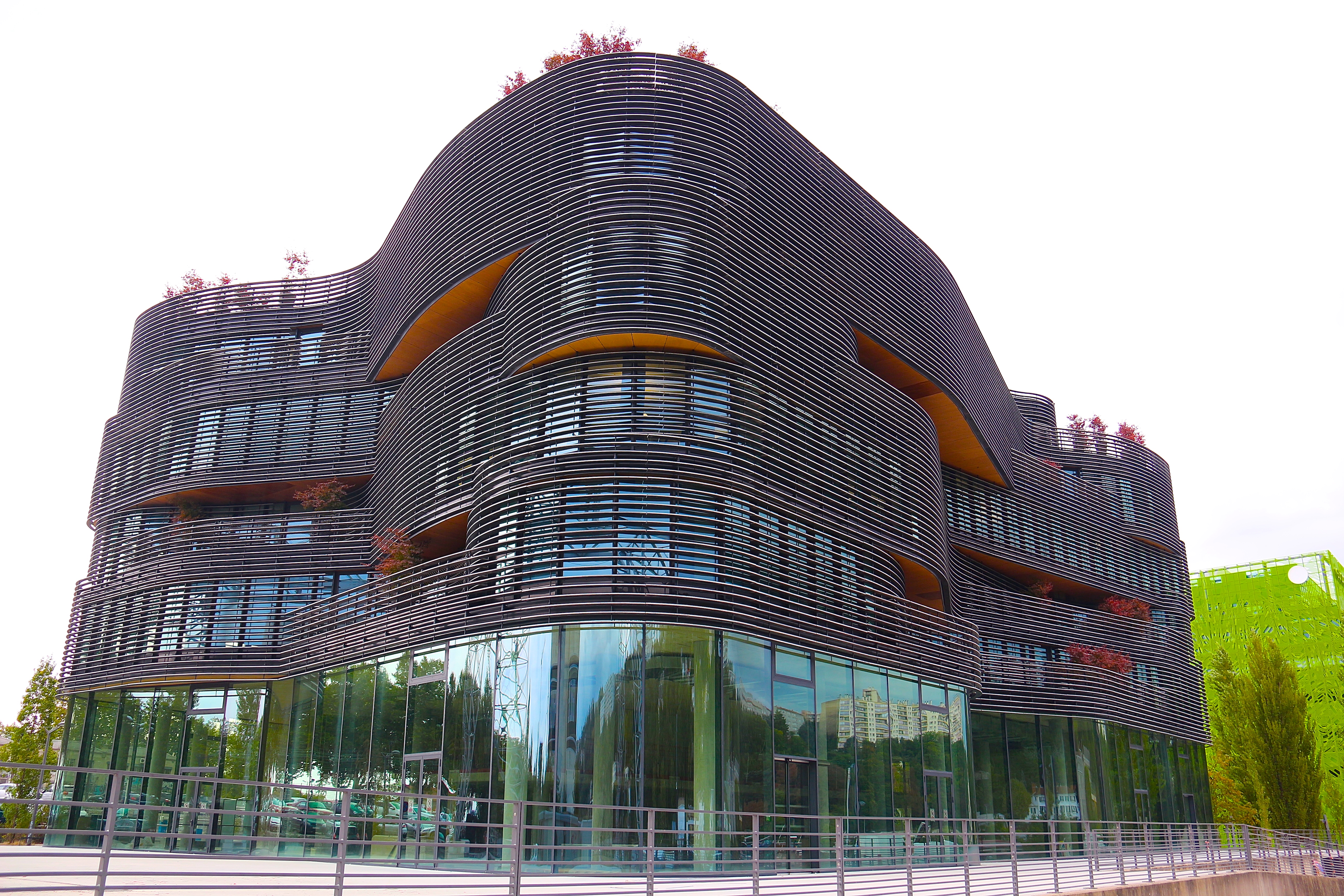 LYON