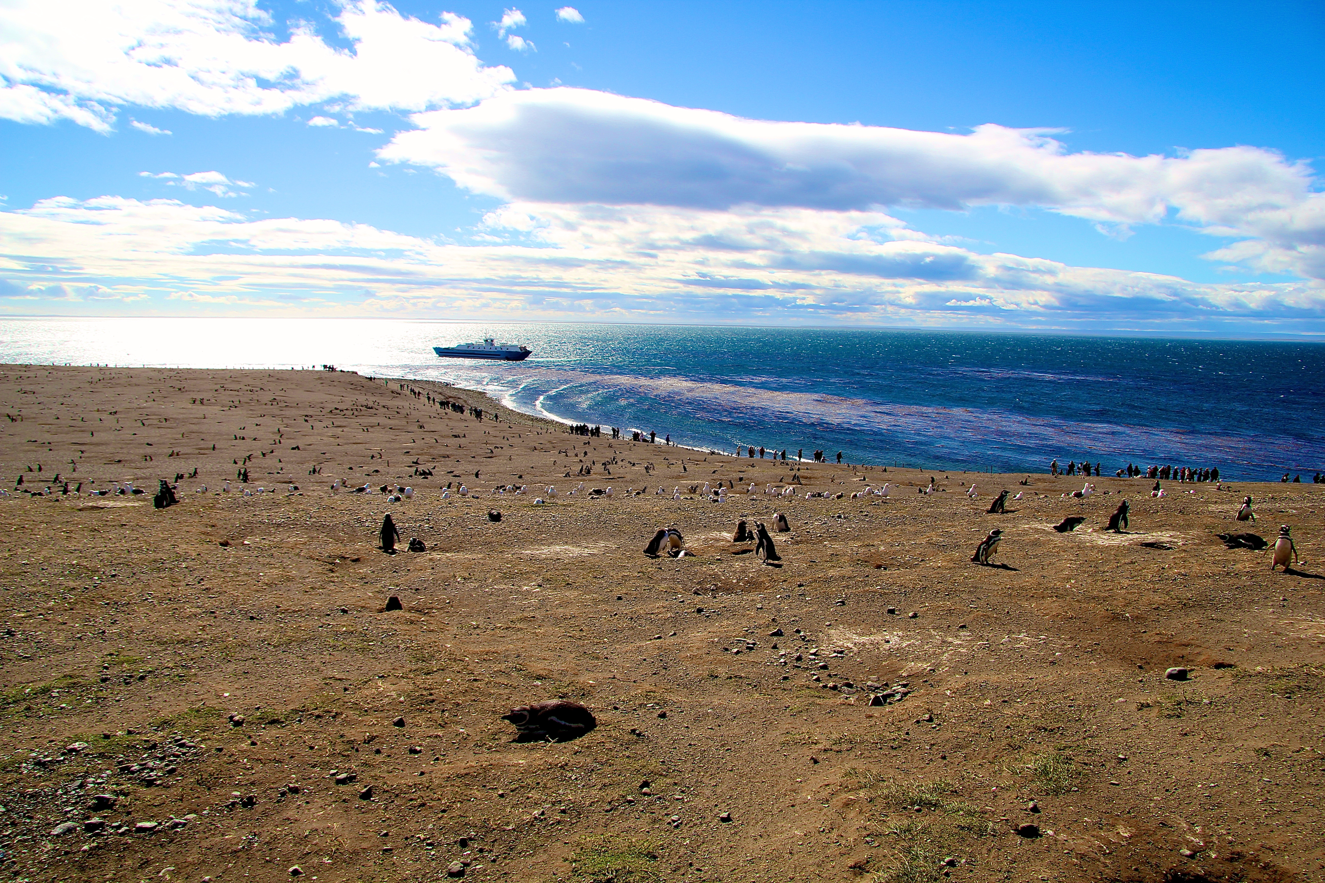 ÎLE MAGDALENA