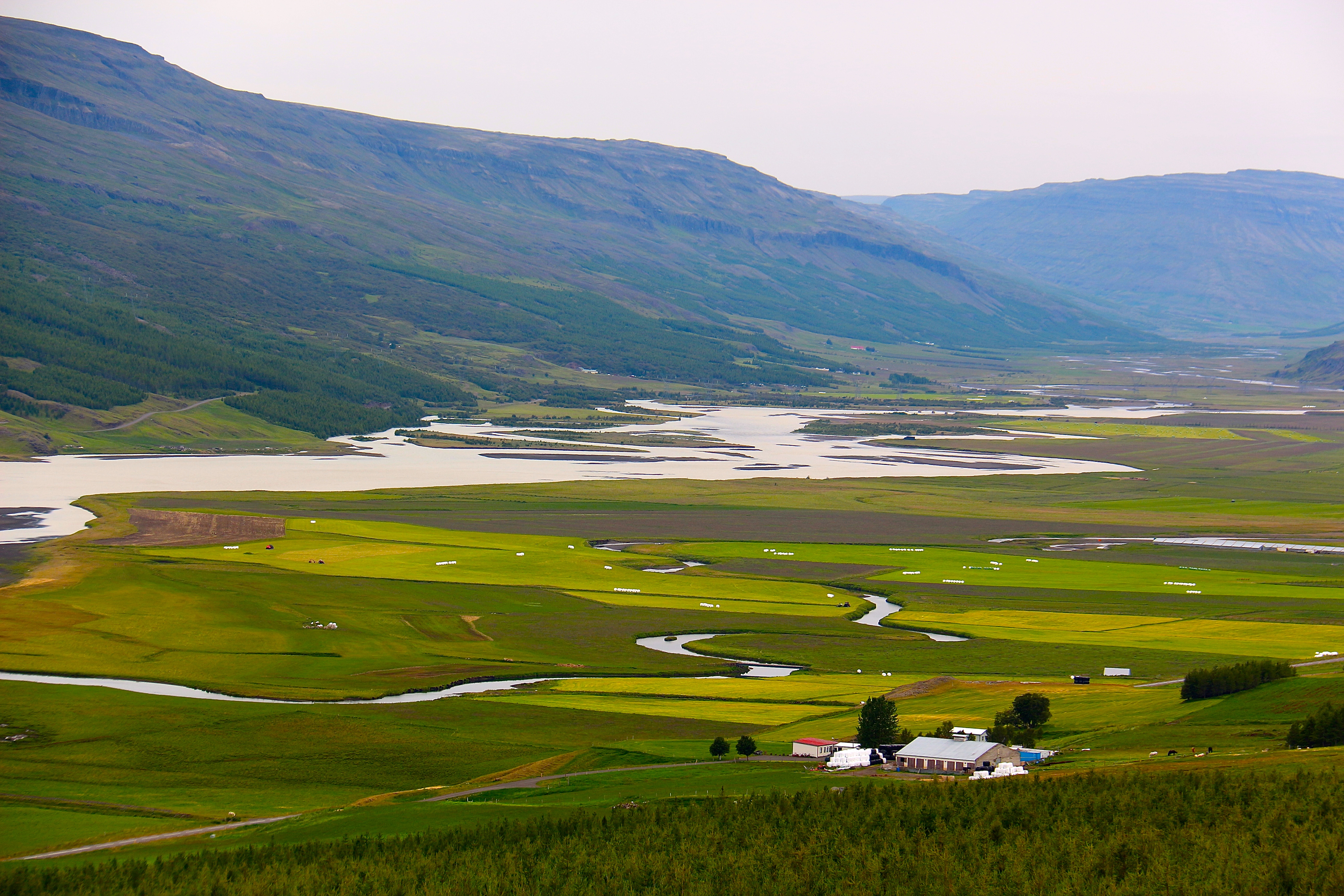 LAC LÖGURINN
