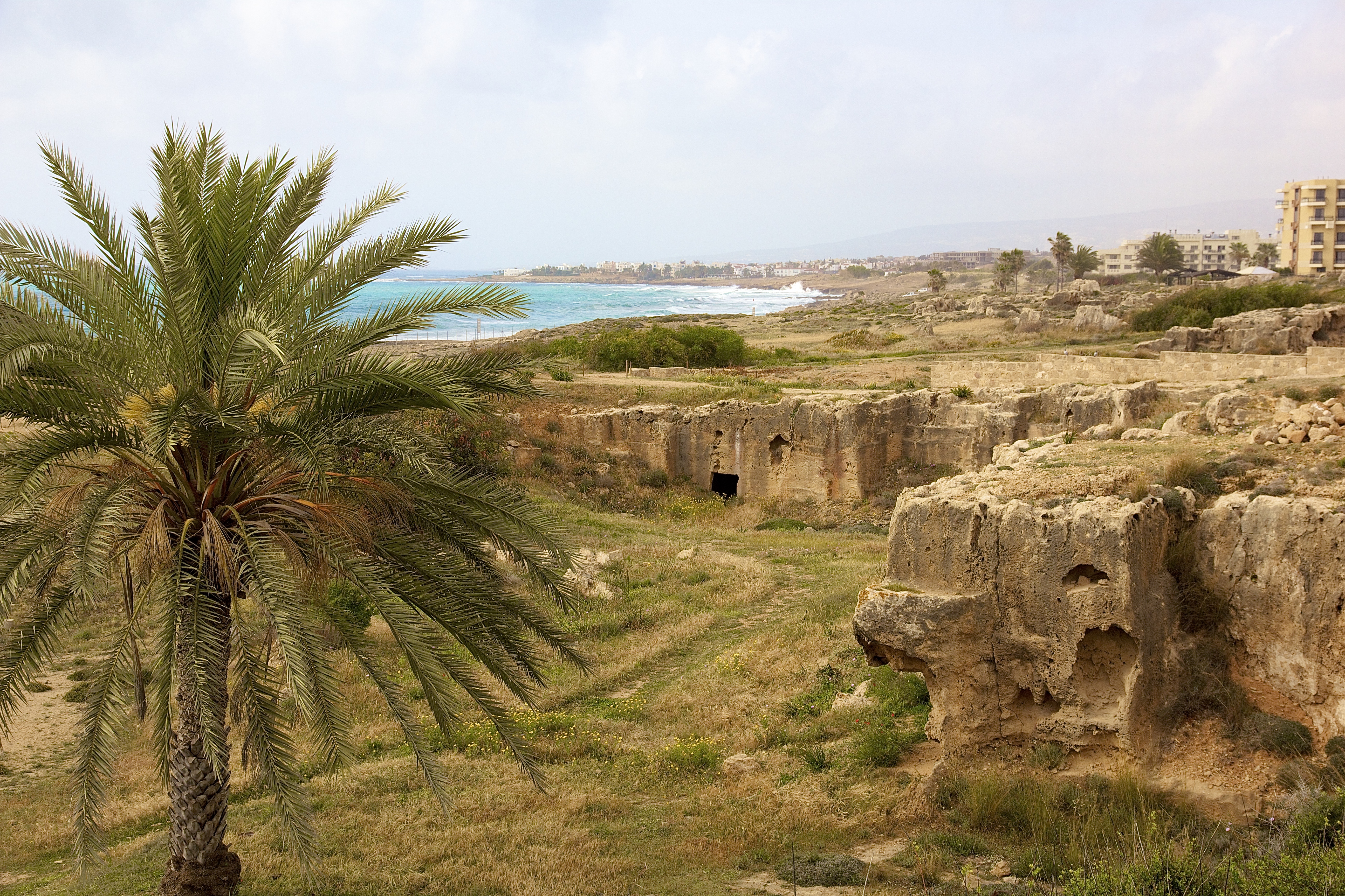 KATO PAPHOS