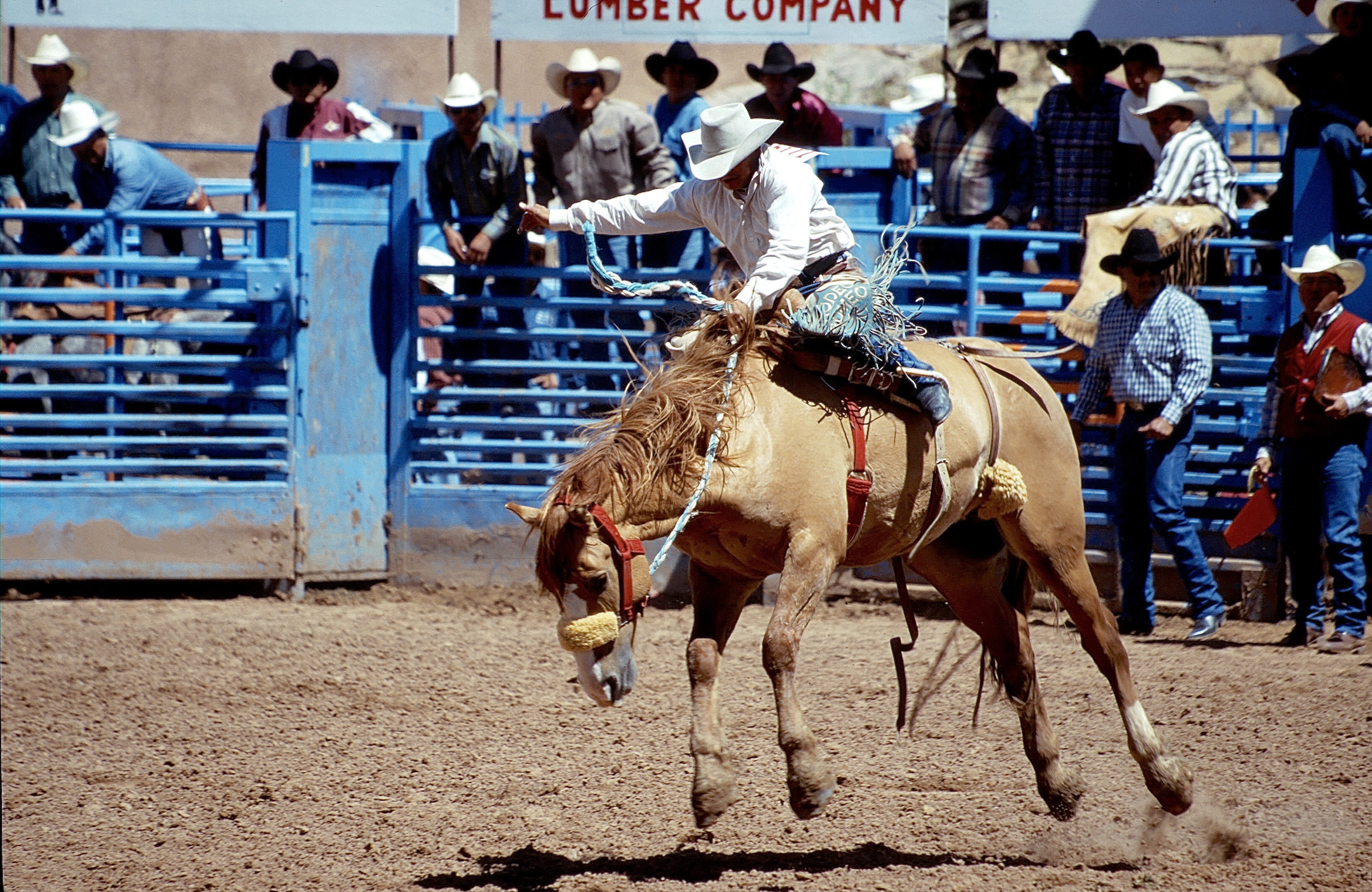 GALLUP