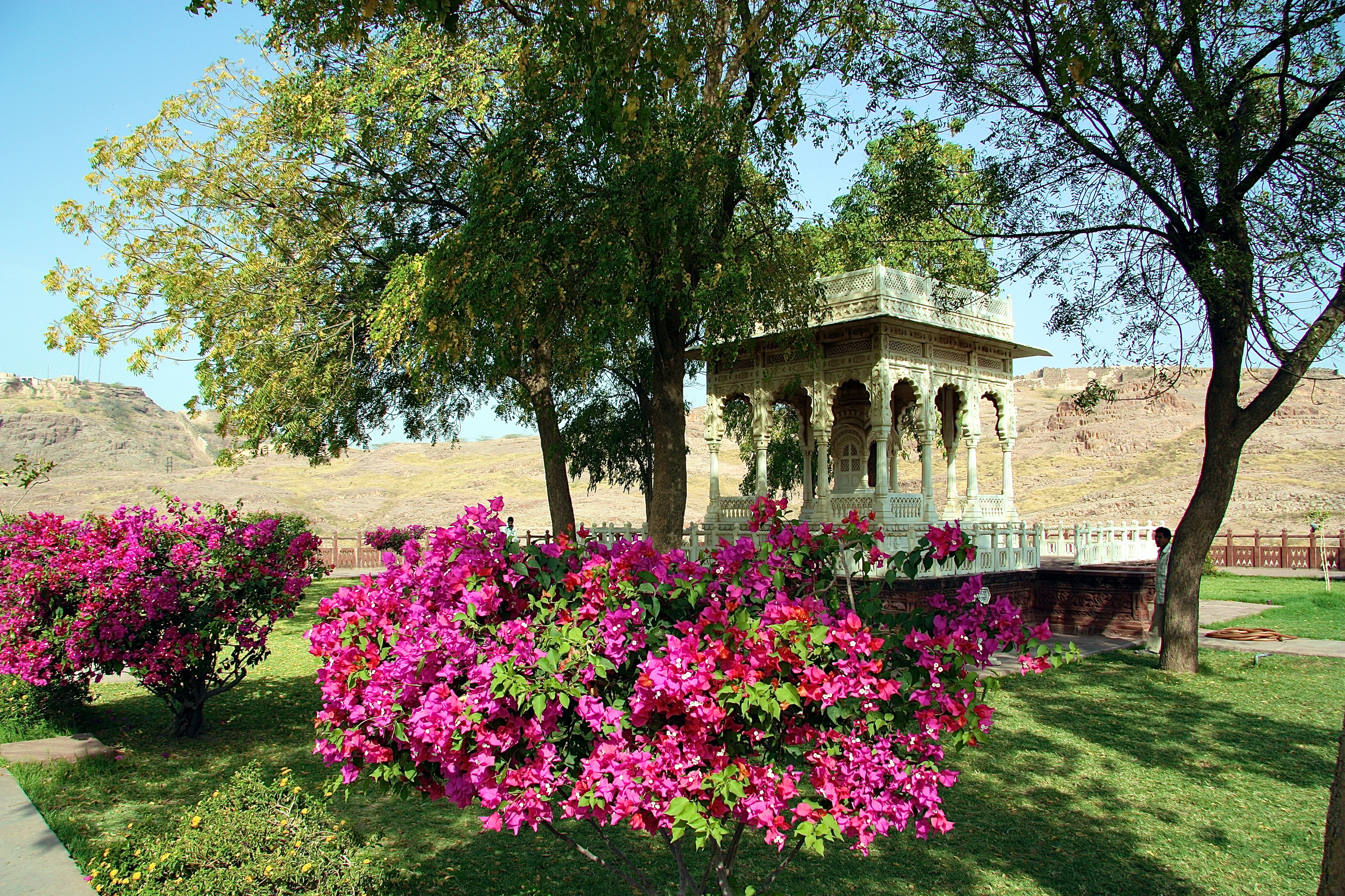 JODHPUR