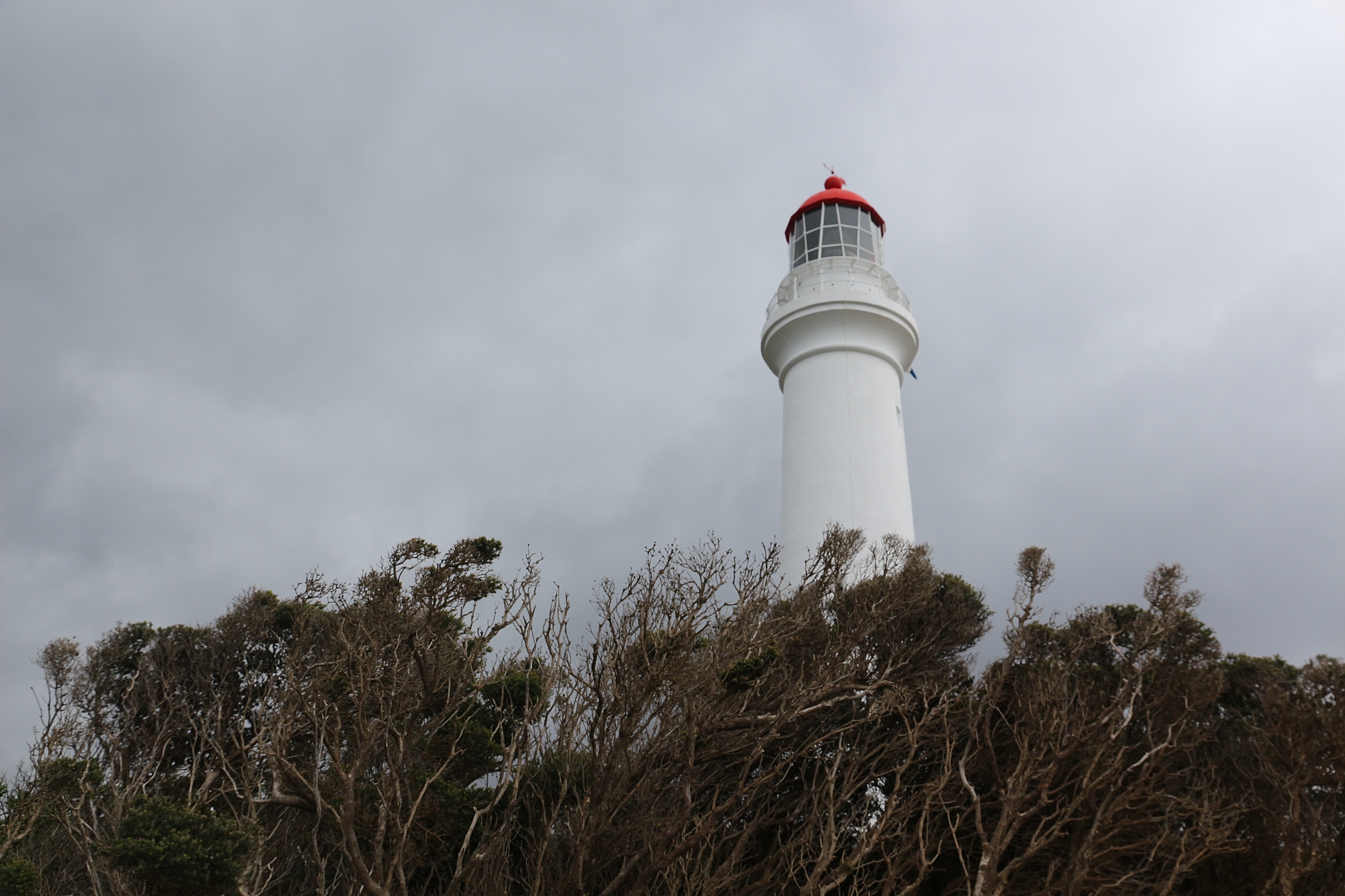 GREAT OCEAN ROAD