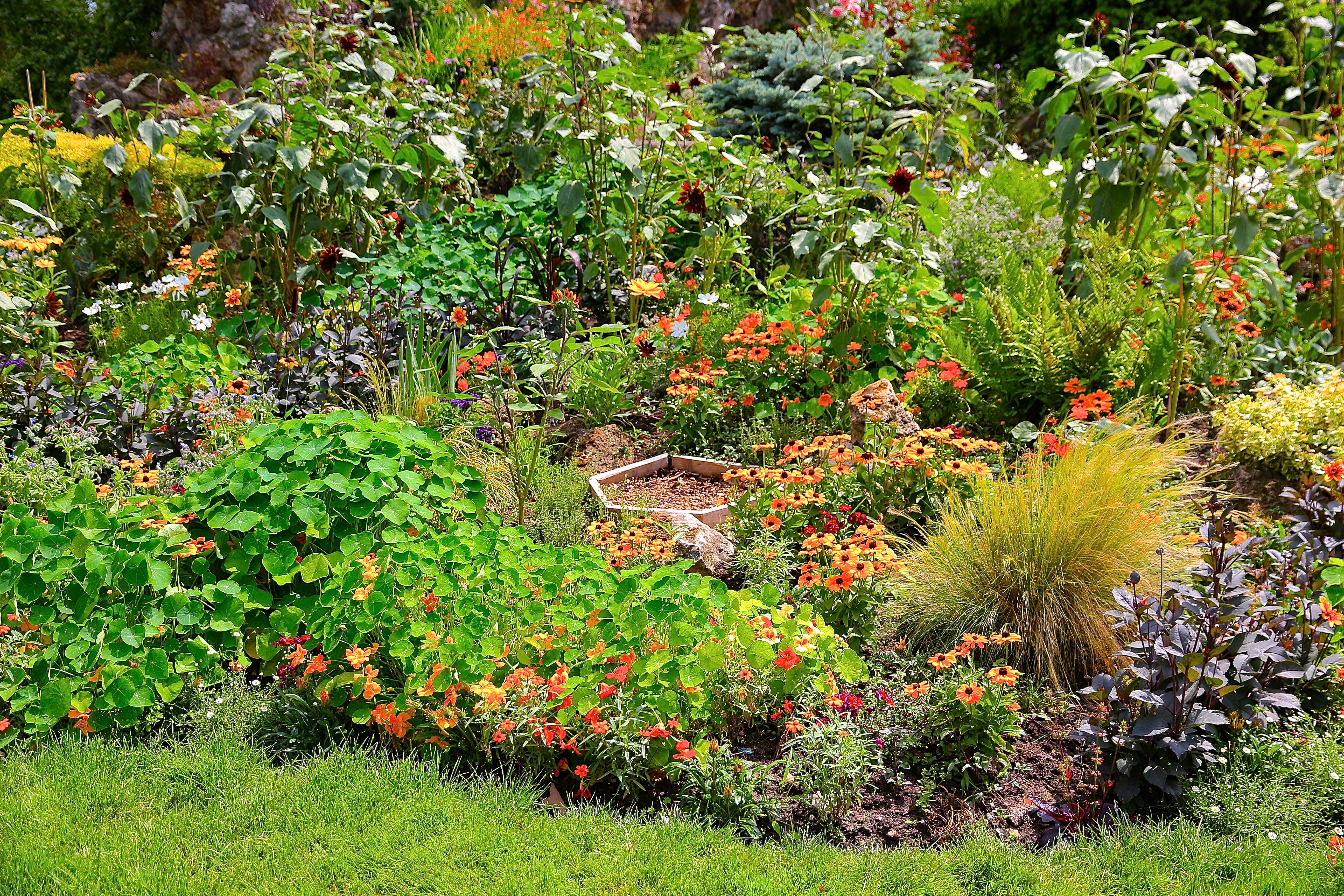 le jardin fleuri du Rocher